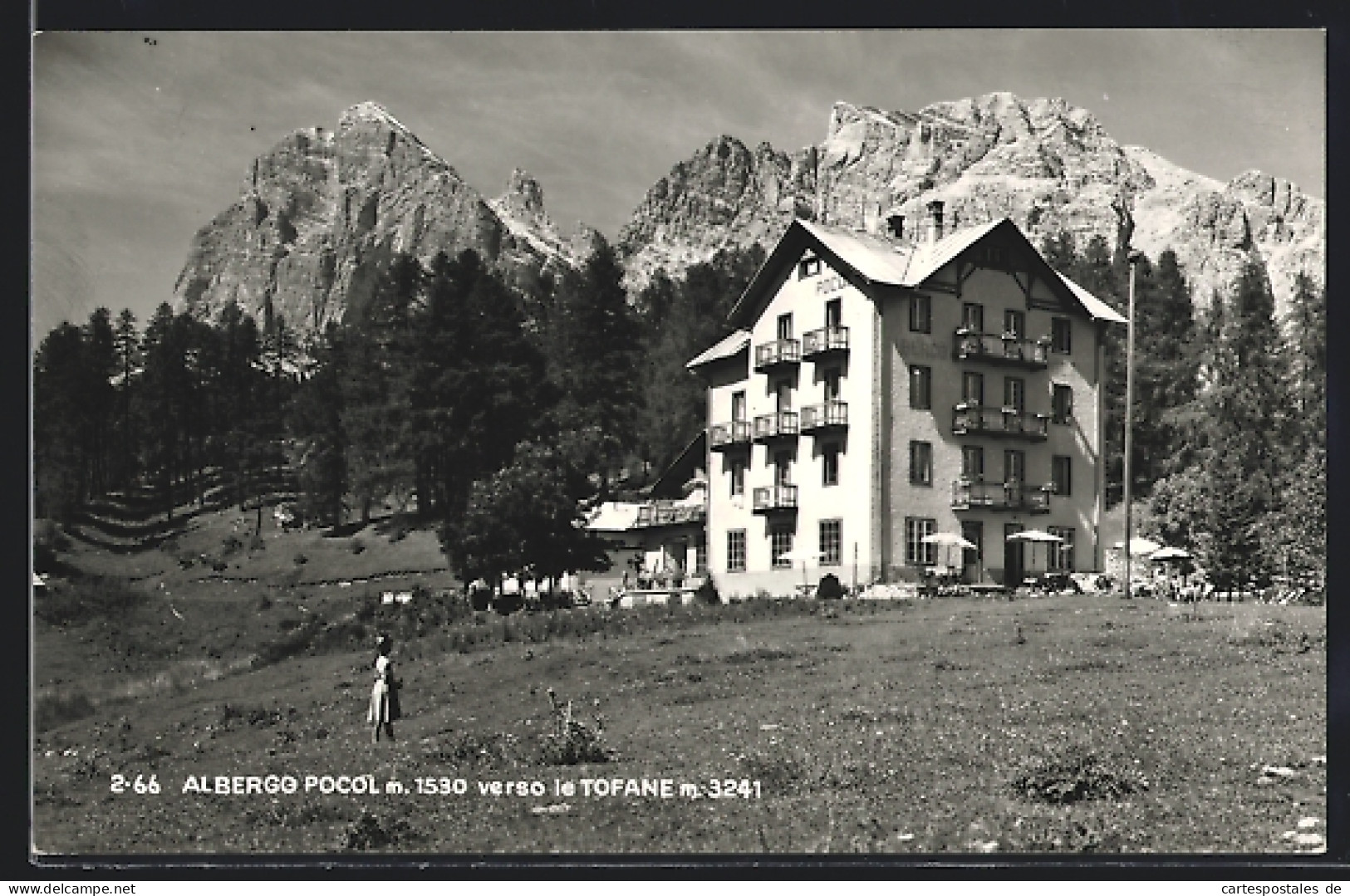 Cartolina Cortina D`Ampezzo, Hotel Albergo Pocol Verso Le Tofane  - Sonstige & Ohne Zuordnung