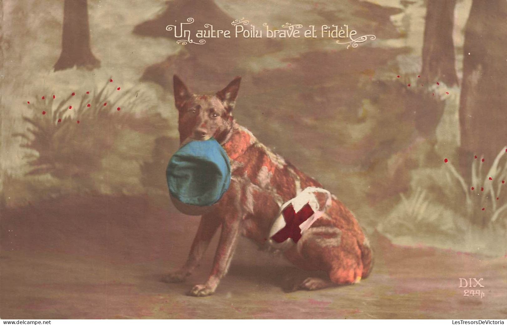 CROIX ROUGE - Un Autre Poilu Brave Et Fidèle - Chien - Carte Postale Ancienne - Cruz Roja