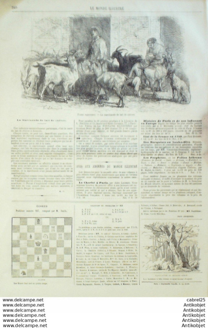 Le Monde Illustré 1866 N°495 Maisons Alfort (94) Italie Venise Espagne Seville Coudoue Liverpool Great Eastern - 1850 - 1899