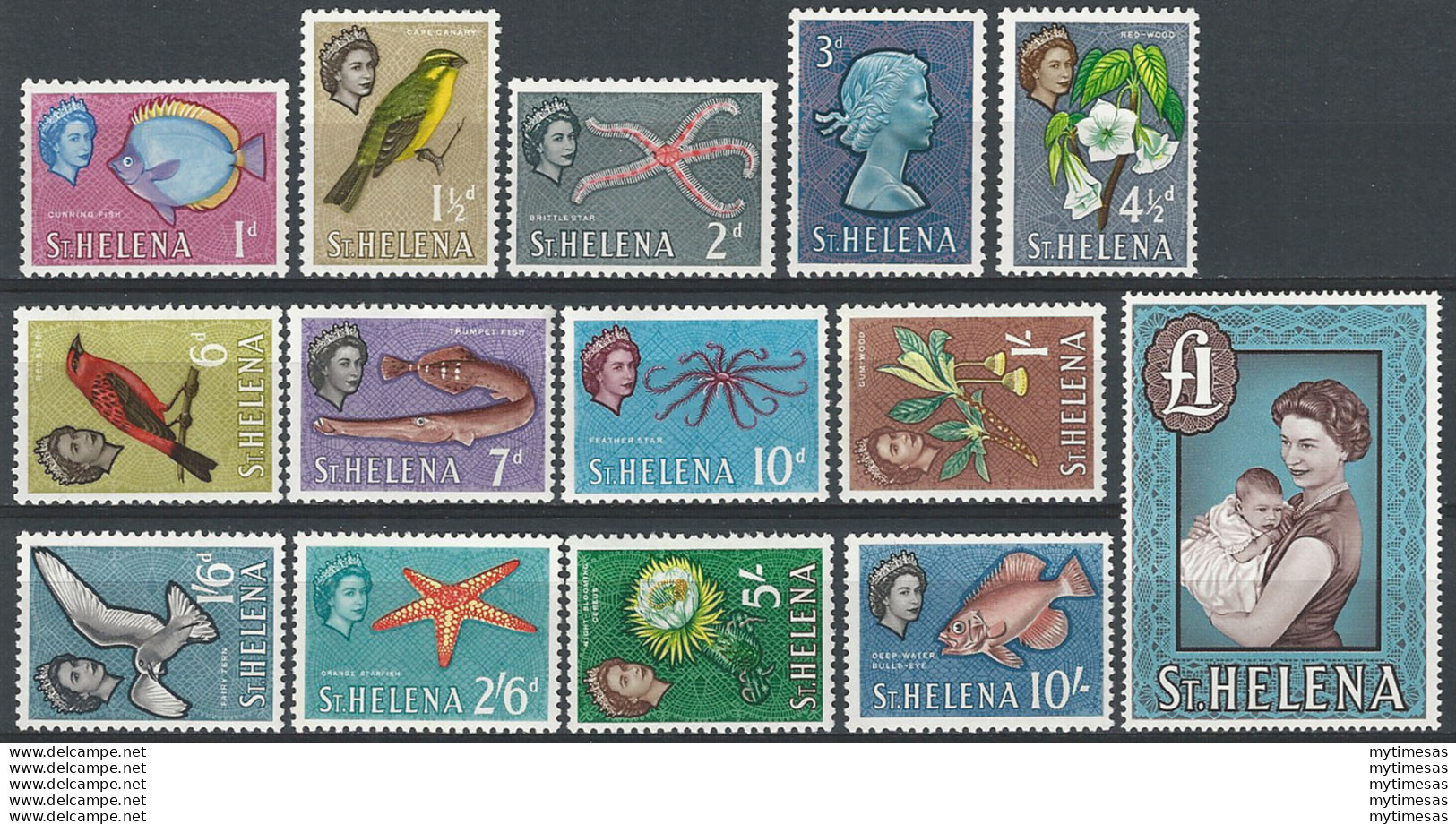 1961 St. Helena Animals 14v. MNH SG N. 176/89 - Otros & Sin Clasificación