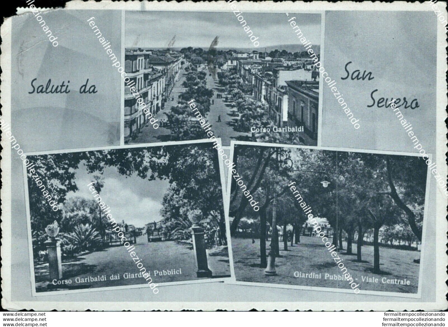 M675 Cartolina Saluti Da S.severo Provincia Di Foggia - Foggia