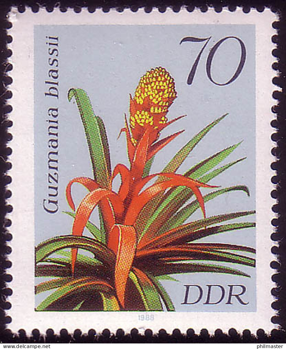 3152 Bromelien 70 Pf ** - Neufs