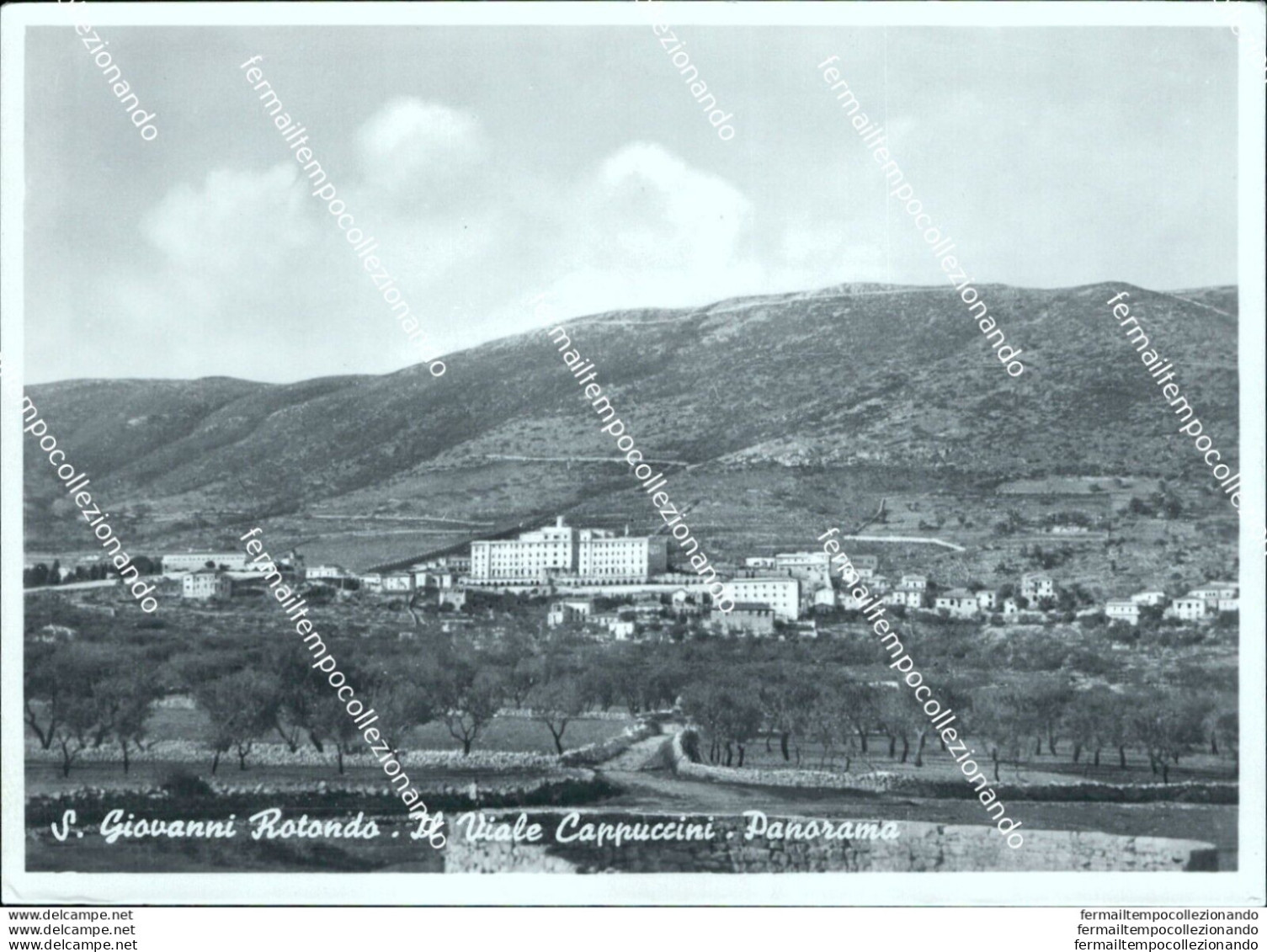 M746 Cartolina S.giovanni Rotondo Il Viola Capuccini   Provincia Di Foggia - Foggia