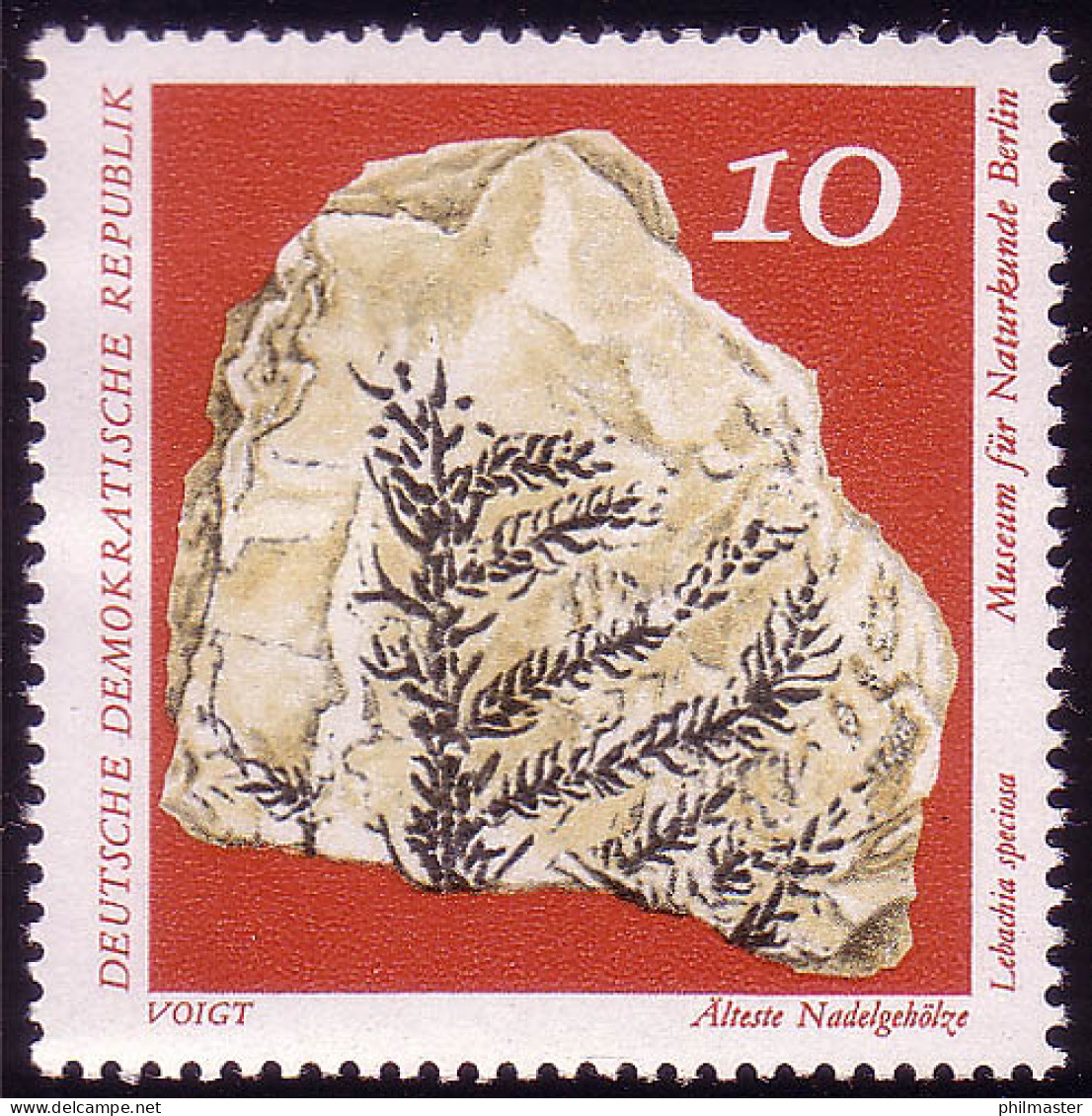 1822 Naturkunde Nadelgehölze 10 Pf ** Postfrisch - Unused Stamps