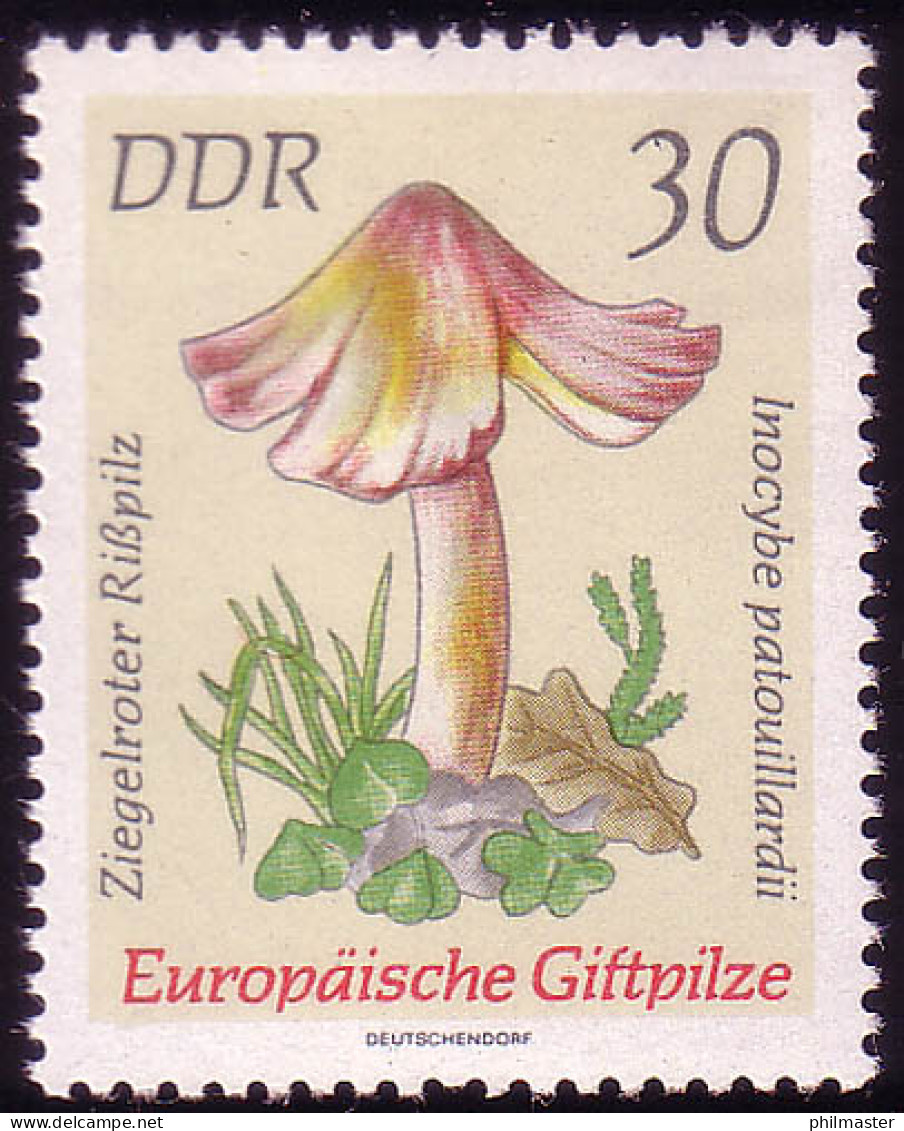 1938 Giftpilze Ziegelroter Rißpilz 30 Pf ** Postfrisch - Unused Stamps