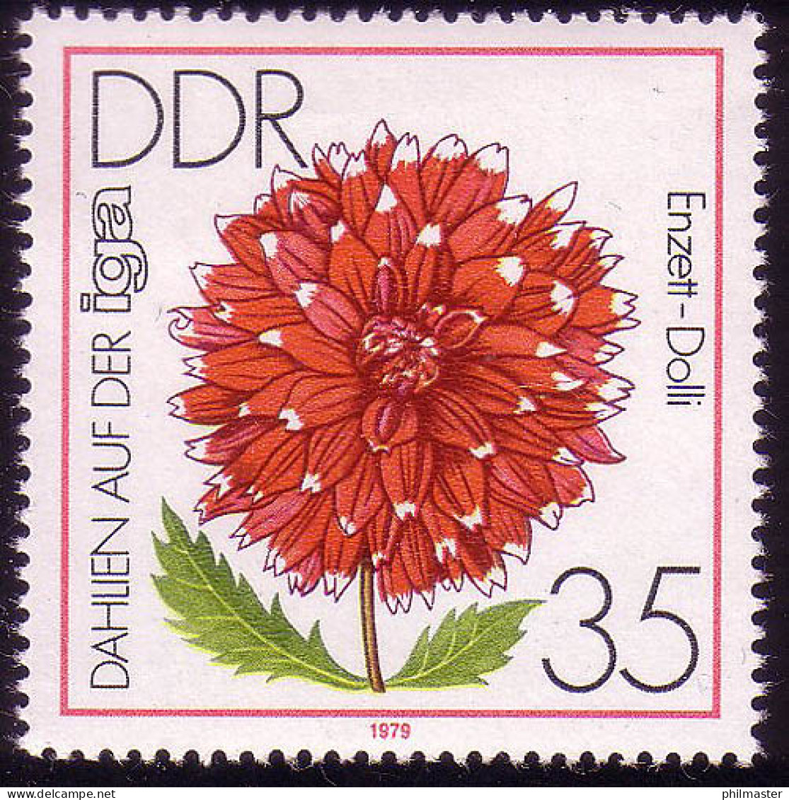 2438 IGA 1979 35 Pf Schmuck-Dahlie ** Postfrisch - Unused Stamps