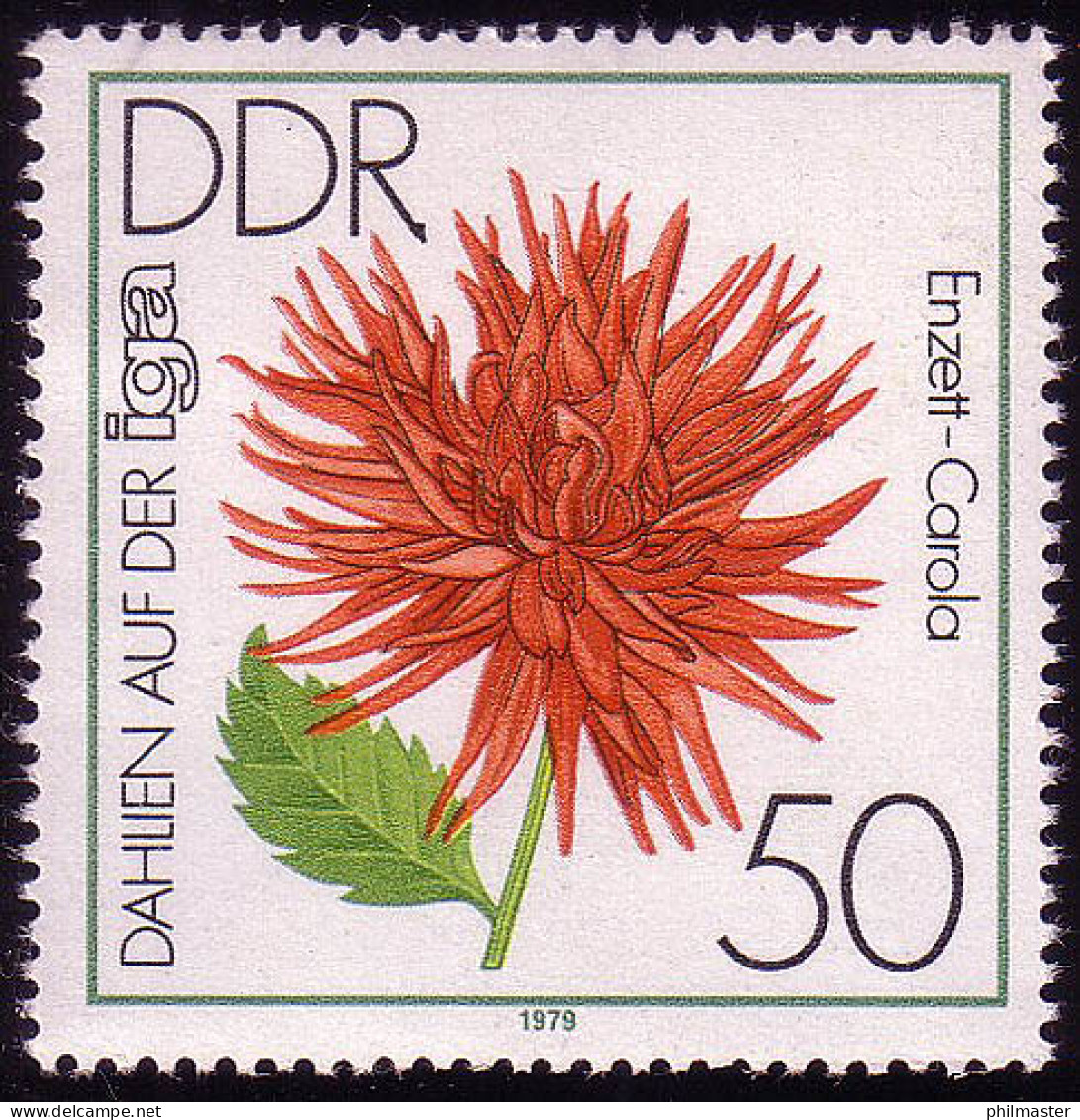 2439 IGA 1979 50 Pf Kaktus-Dahlie ** Postfrisch - Unused Stamps