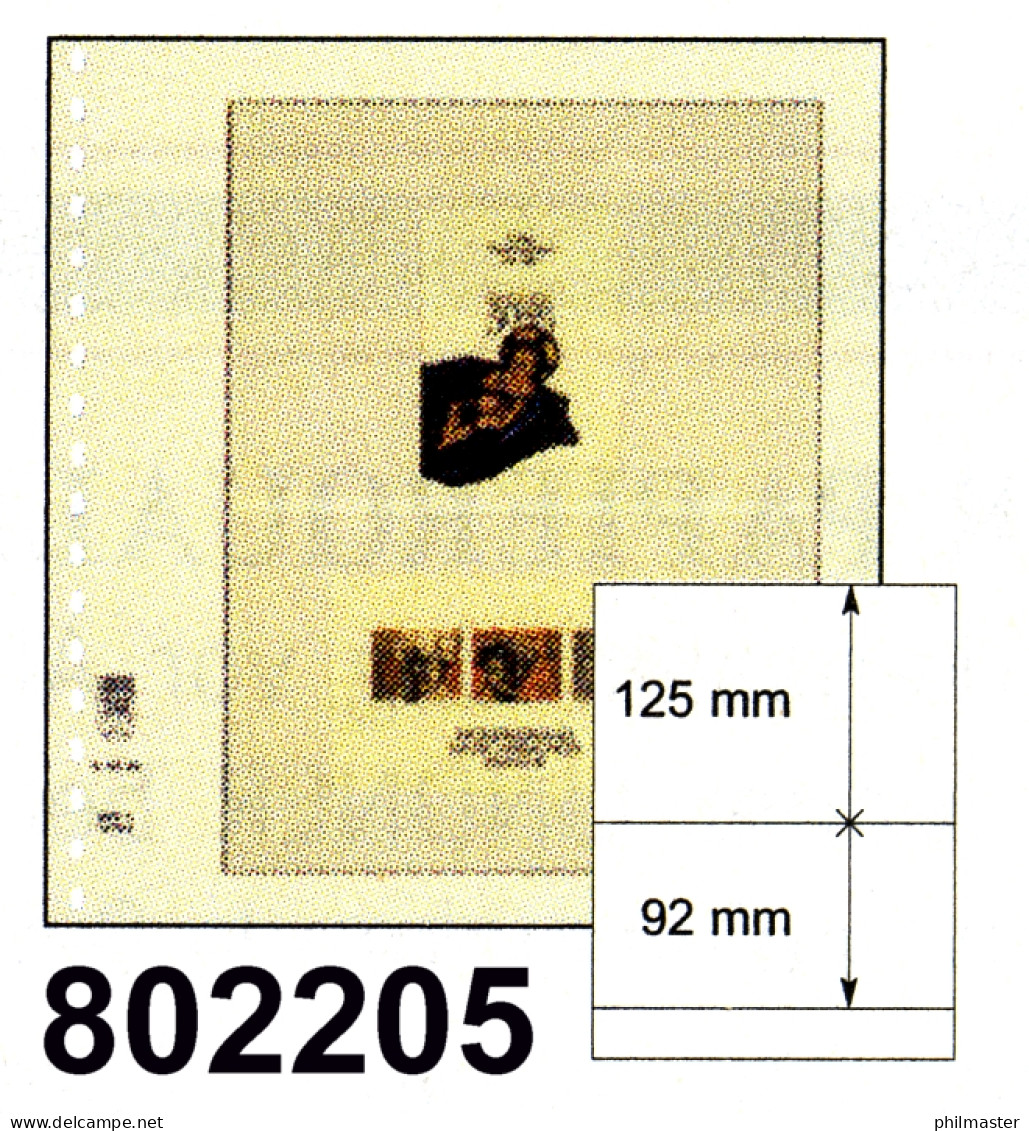 LINDNER-T-Blanko - Einzelblatt 802 205 - Vierges