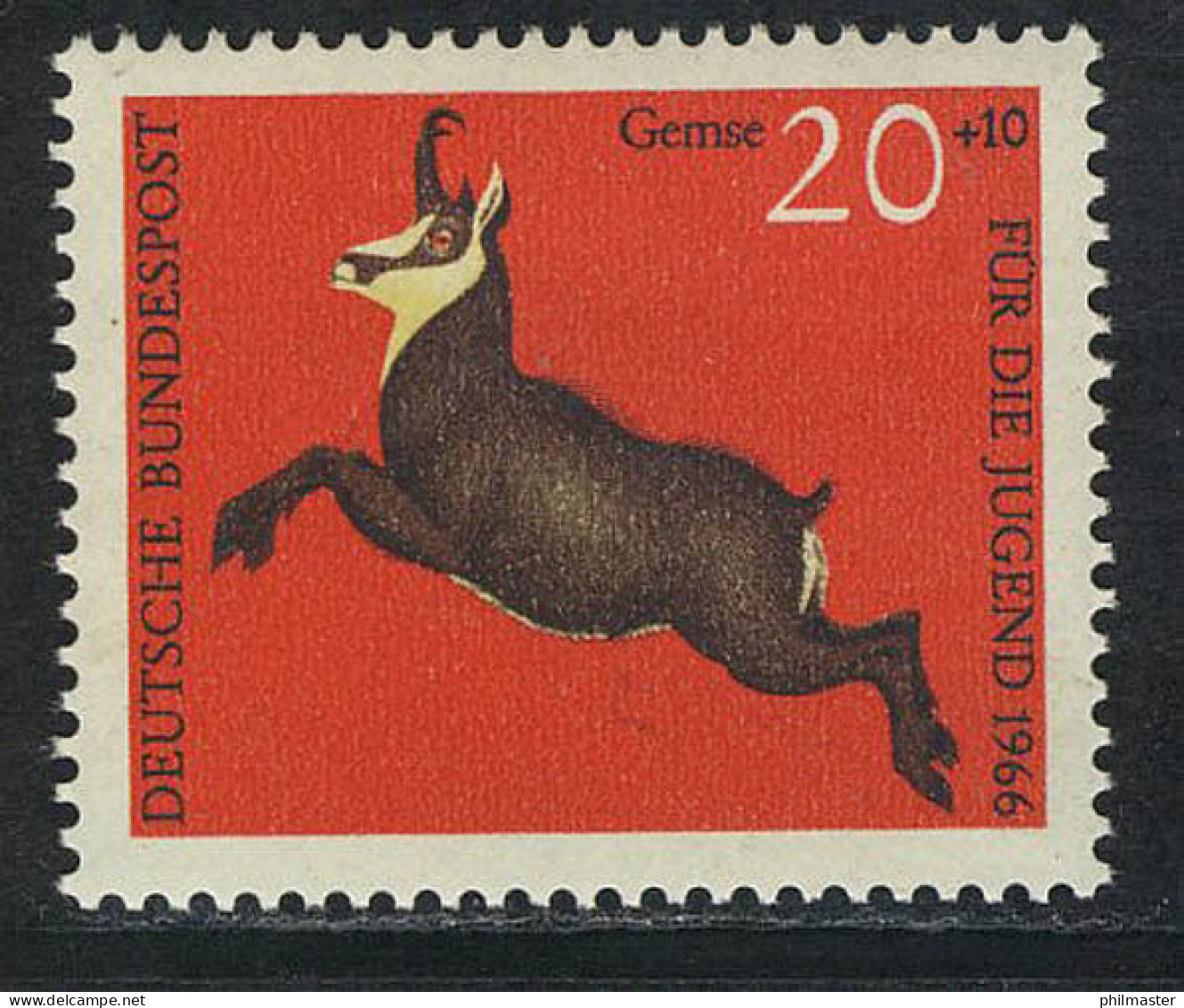 512 Jugend Hochwild 20+10 Pf Gemse ** - Unused Stamps