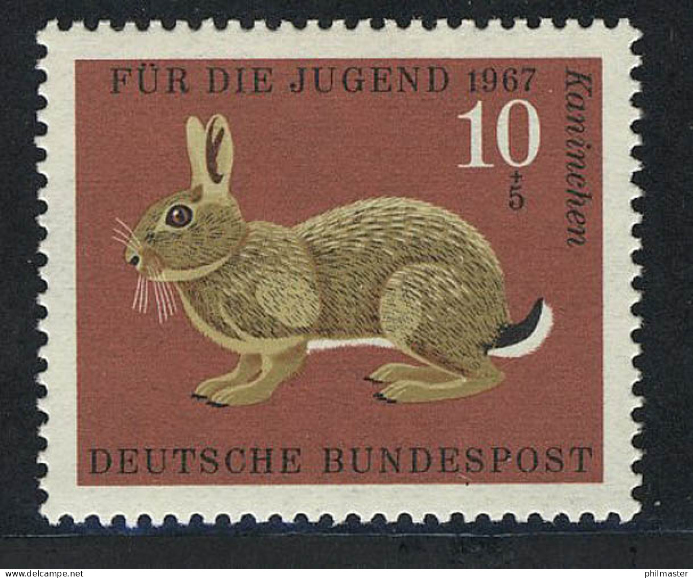 529 Jugend Pelztiere 10+5 Pf Wildkaninchen ** - Unused Stamps