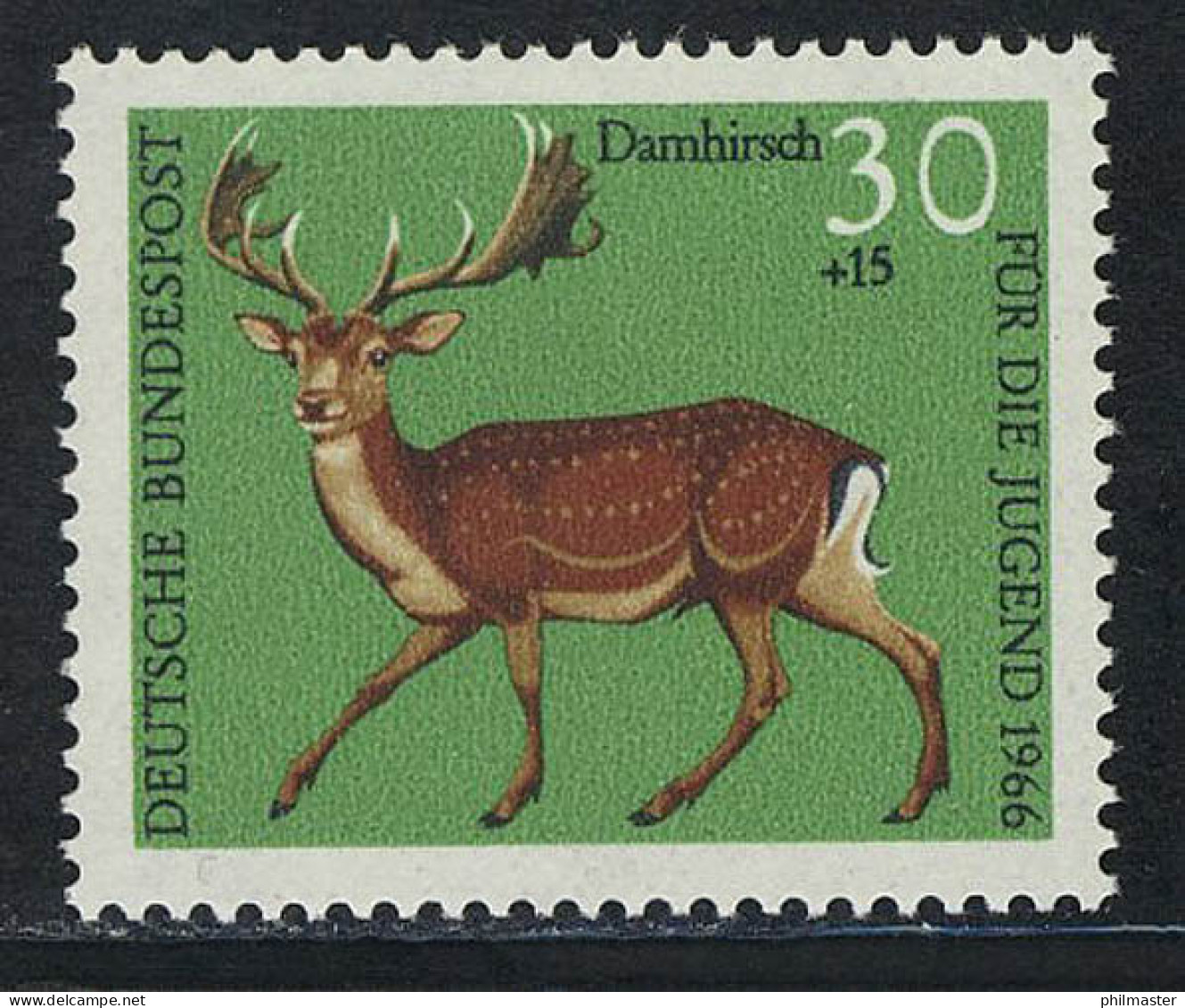 513 Jugend Hochwild 30+15 Pf Damhirsch ** - Nuovi