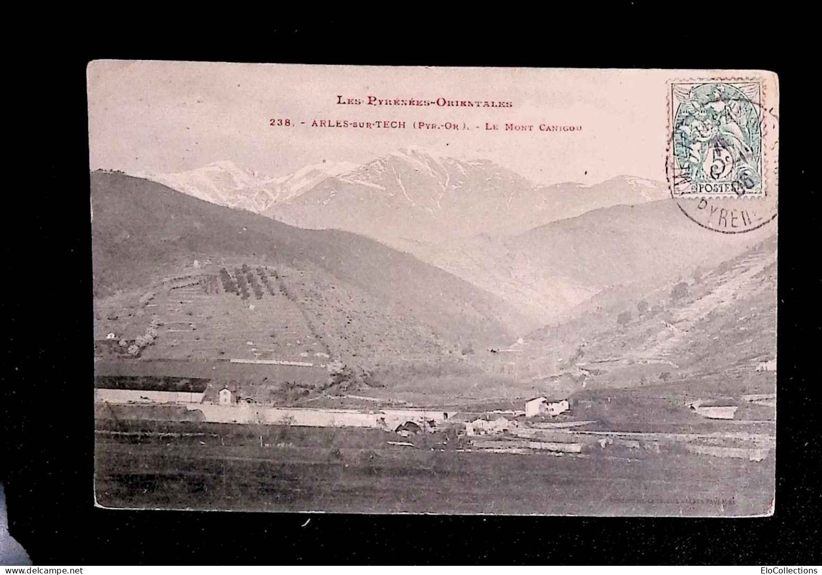 Cp, 66, Arles Sur Tech, Le Mont Canigou, Voyagée 1906, N° 238 - Andere & Zonder Classificatie