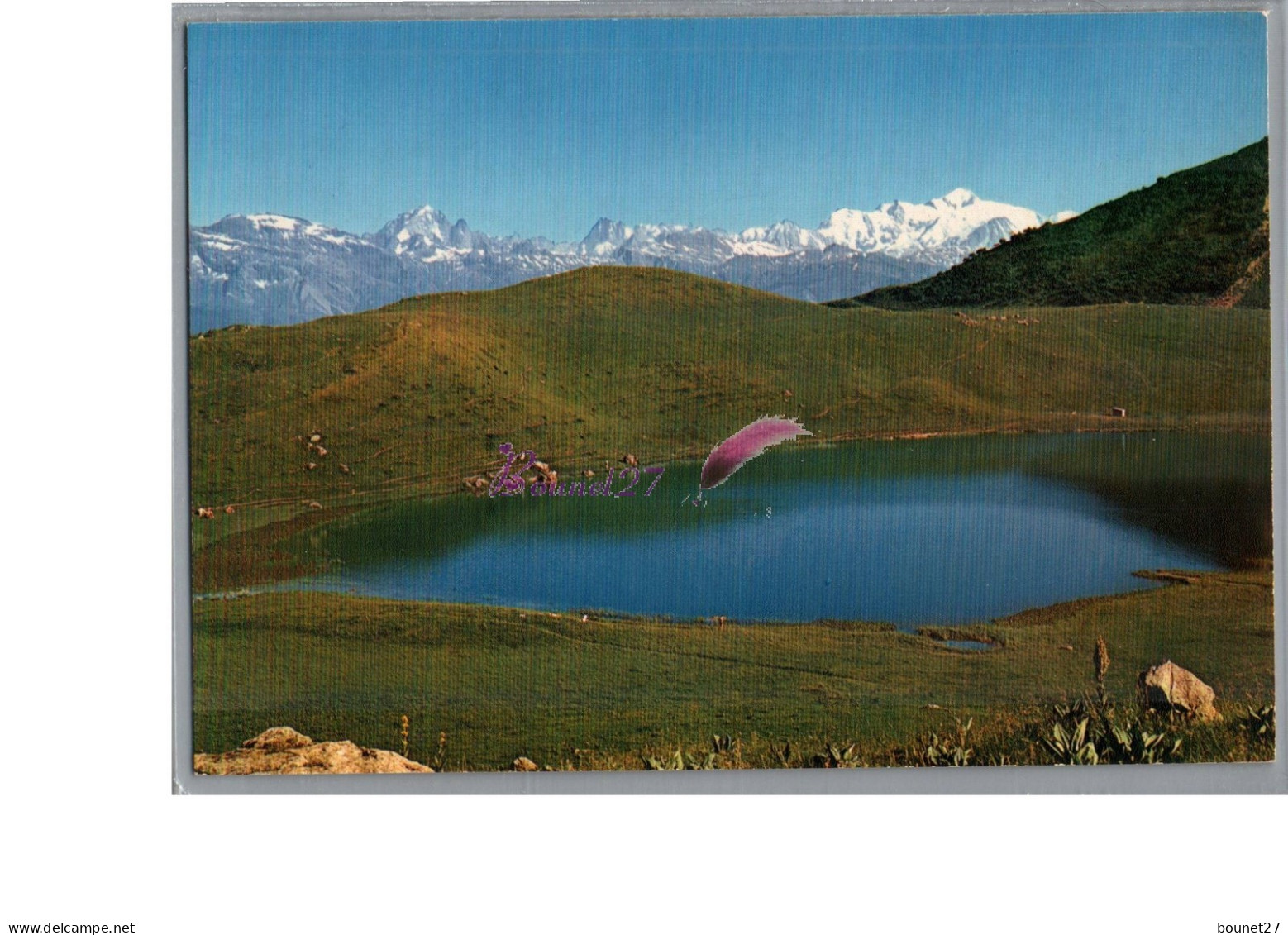 TANINGES PRAZ DE LYS 74 - Le Lac Du Roy Et La Chaine Du Mont Blanc Vue Generale  - Taninges