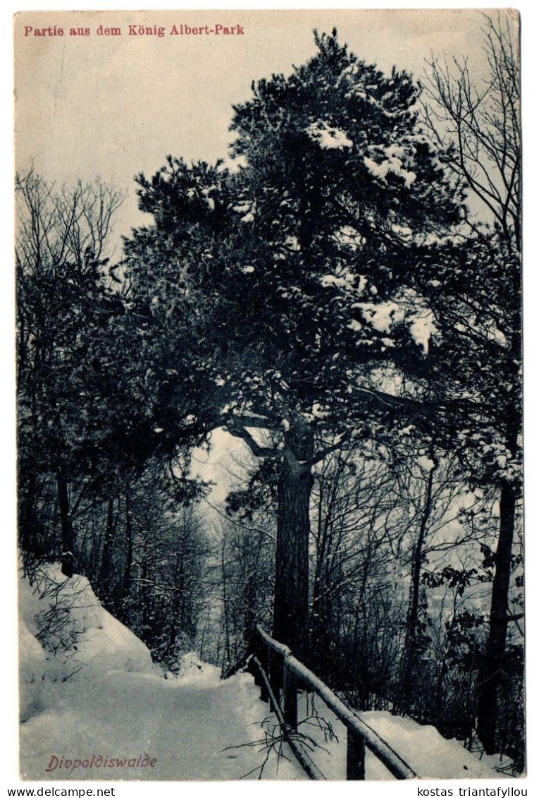 1.12.3 GERMANY, PART OF THE KONIG ALPBERT-PARK, 1915, POSTCARD - Freiberg (Sachsen)