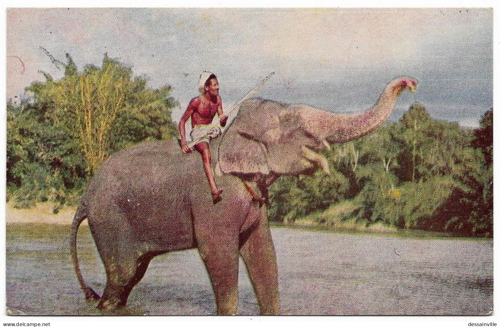 ELEPHANT AND MAHOUT Au SRI LANKA - Elephants