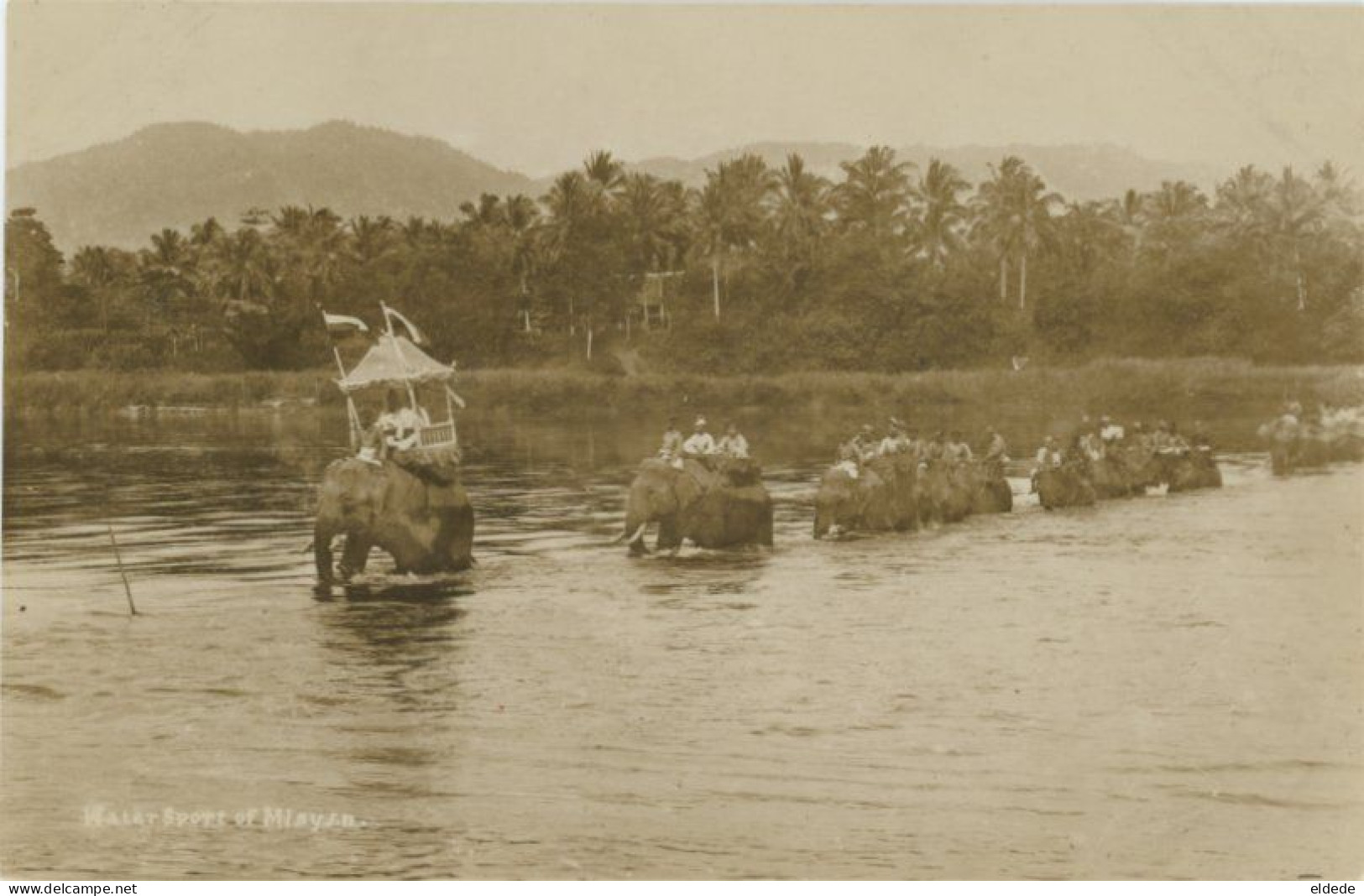 Malayan Elephant Crossing A River Real Photo - Malasia