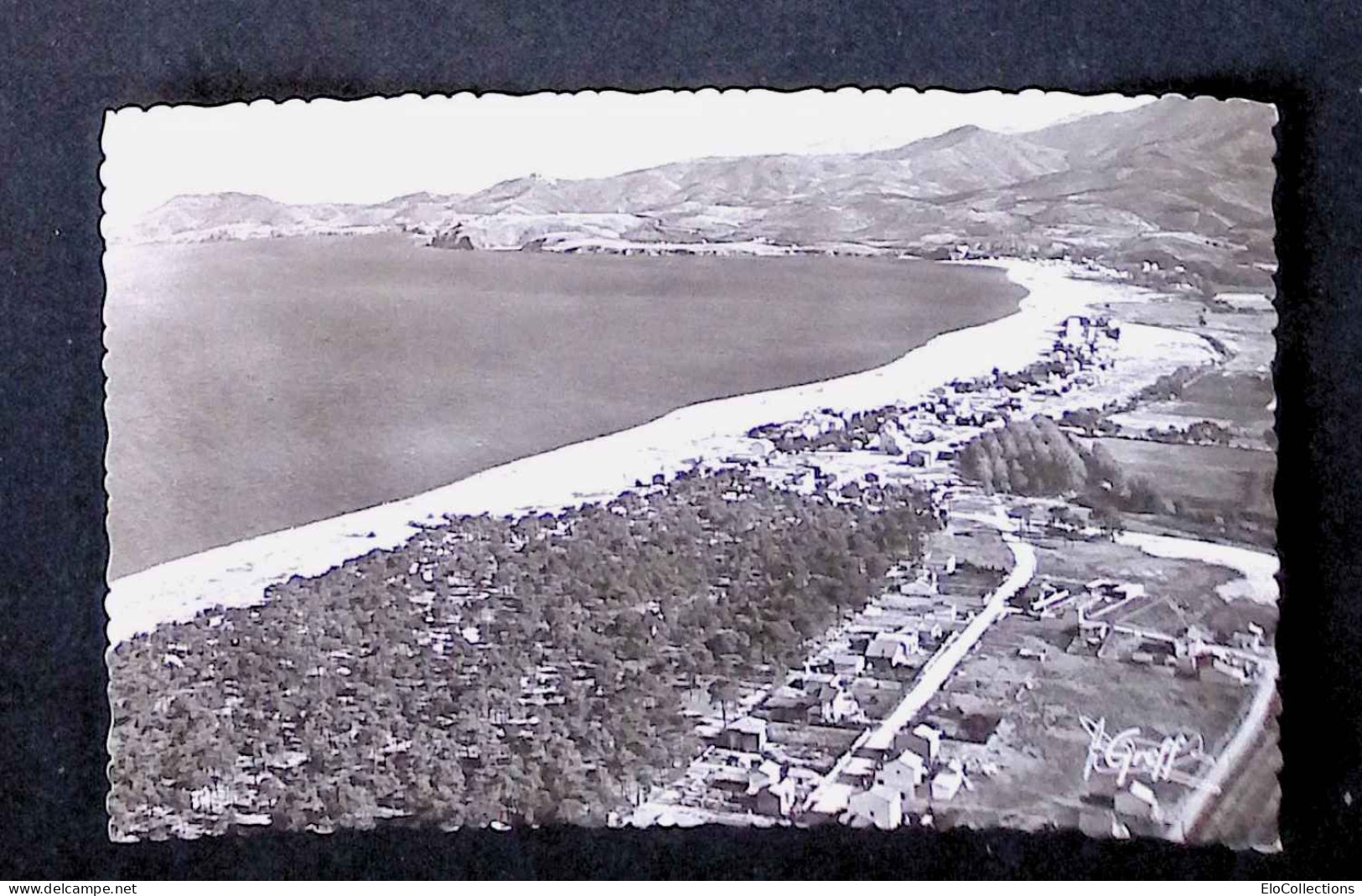 Cp, 66, Argeles Sur Mer, La Plage Et La Côte Vers Collioure, Vierge, Ed. Greff, N° 682 - Argeles Sur Mer