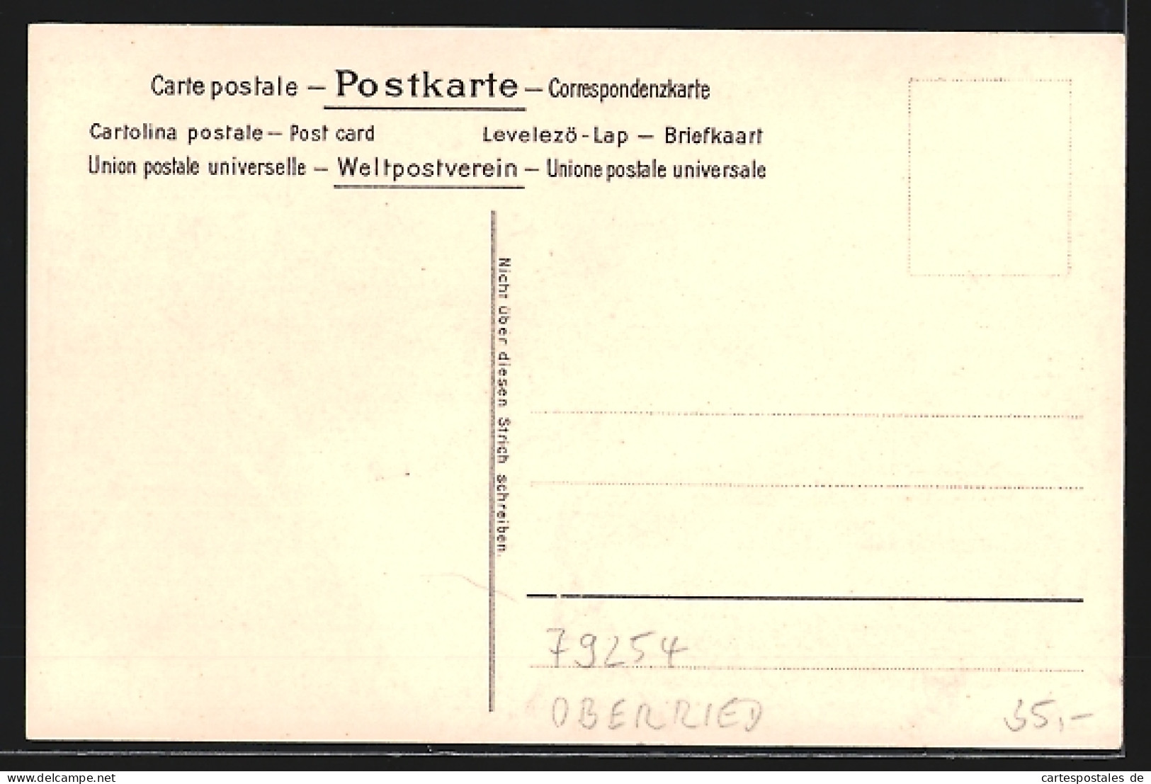 Lithographie Schauinsland, Rasthaus Friedrichshöhe A.d. Schauinsland, Alpenpanorama  - Autres & Non Classés