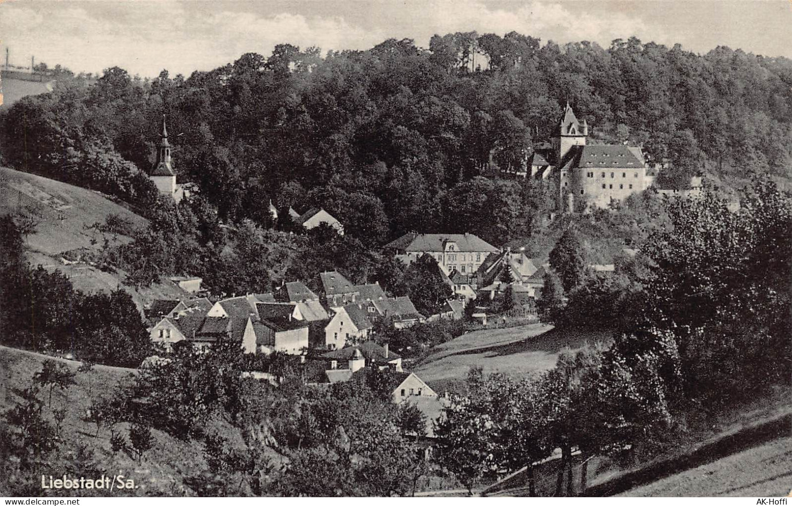 Liebstadt I. Sa., Ortsansicht Mit Schloss Kuckuckstein - Liebstadt