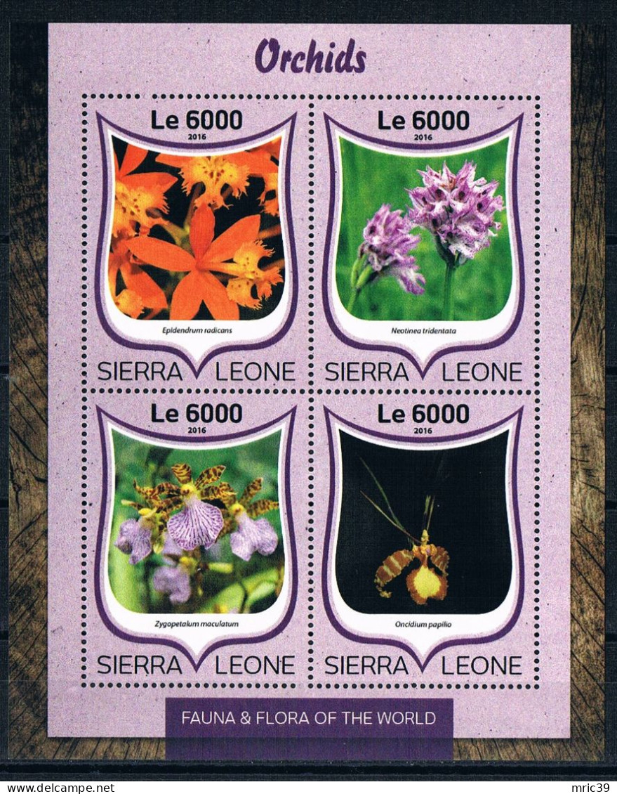Bloc Sheet Fleurs Orchidées Flowers Orchids  Neuf  MNH **   Sierra Leone 2016 - Orchids