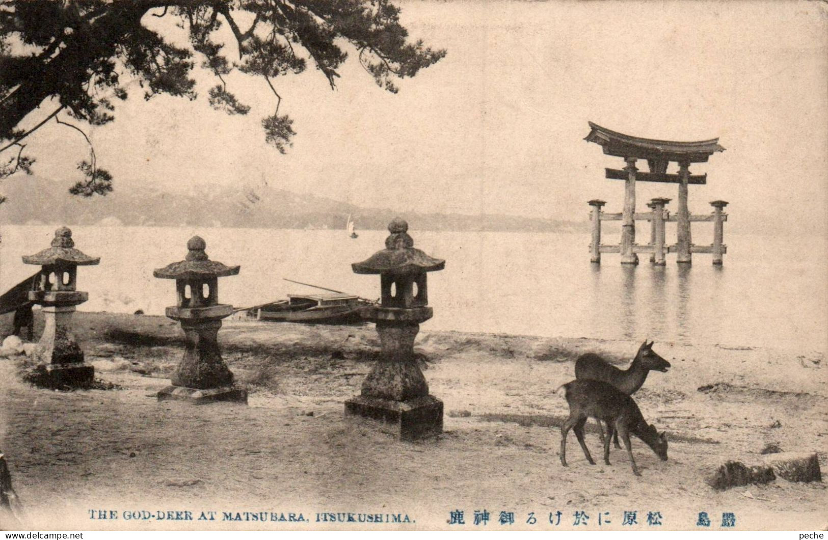 N°1346 W -cpa The God Deer -at Matsusara -Itsukushima- - Other & Unclassified