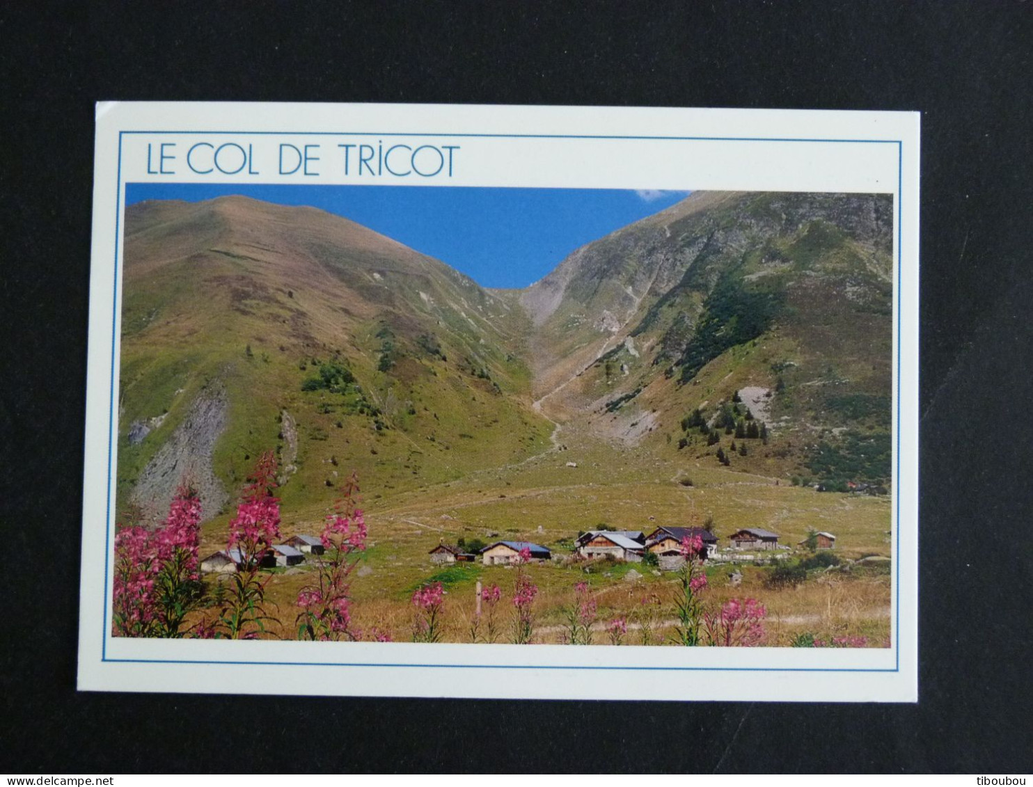 SAINT GERVAIS LES BAINS - HAUTE SAVOIE - FLAMME SUR MARIANNE BRIAT - SENTIER TOUR MONT BLANC COL DU TRICOT CHALETS MIAGE - Annullamenti Meccanici (pubblicitari)