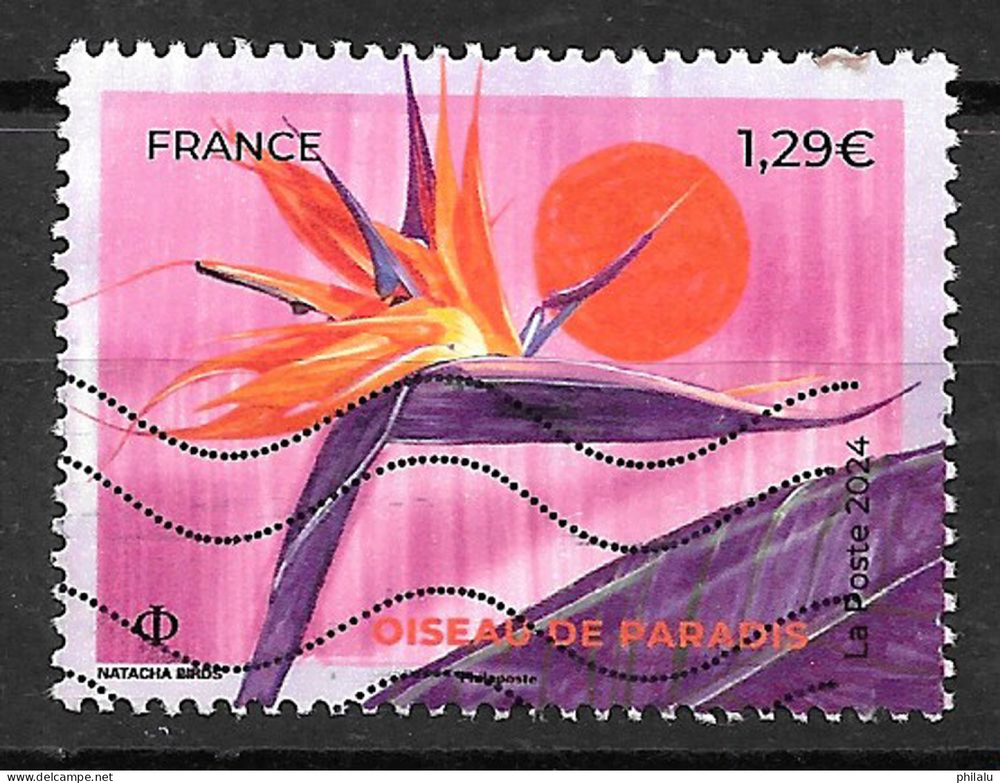 France 2024  Yv N° 5751 Ou 5750  Fleurs Tropicales (Oiseau De Paradis) .flower . - Gebruikt