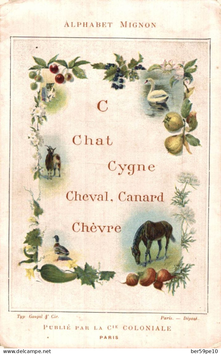 CHROMO COMPAGNIE COLONIALE CHOCOLATS & THE ALPHABET MIGNON LETTRE C COMME CHAT CYGNE CHEVAL CANARD CHEVRE - Autres & Non Classés