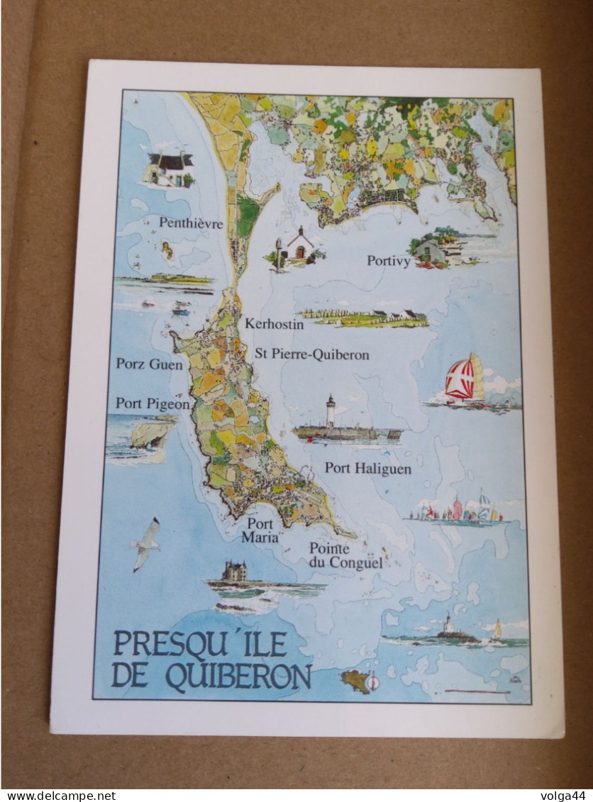 56 - PRESQU'ILE DE QUIBERON - Carte Géographique  - Dessin  Jean- Pierre Arcile - CPM - Quiberon