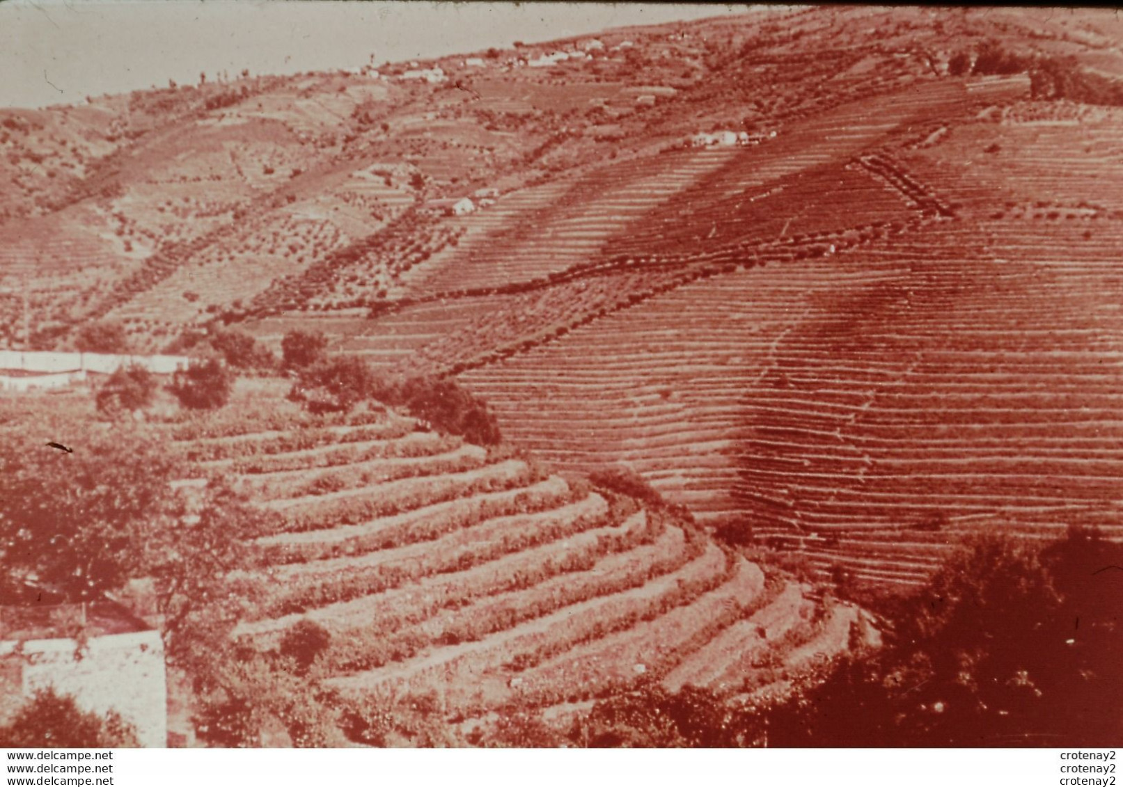 Photo Diapo Diapositive Slide Péninsule Ibérique Espagne Portugal N°10 Vignobles Du DOURO VOIR ZOOM - Dias