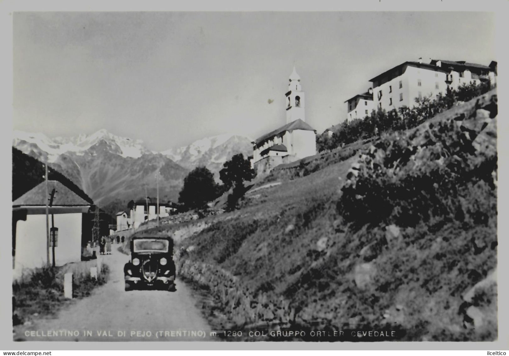 CELLENTINO IN VAL DI PEJO- 1956 - Trento