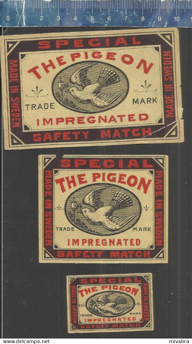 THE PIGEON SPECIAL IMPREGNATED SAFETY MATCH (PIGEONS - TAUBEN - DUIVEN PALOMA ) OLD  MATCHBOX LABELS MADE IN SWEDEN - Luciferdozen - Etiketten