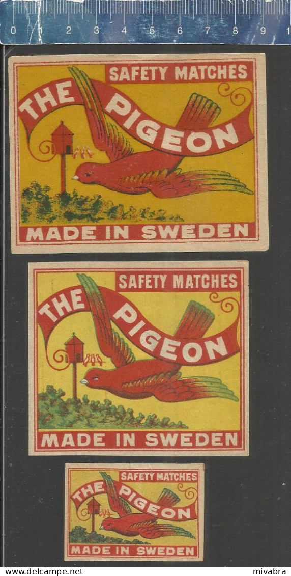 THE PIGEON  SAFETY MATCHES (PIGEONS - TAUBEN - DUIVEN PALOMA ) OLD  MATCHBOX LABELS MADE IN SWEDEN - Luciferdozen - Etiketten