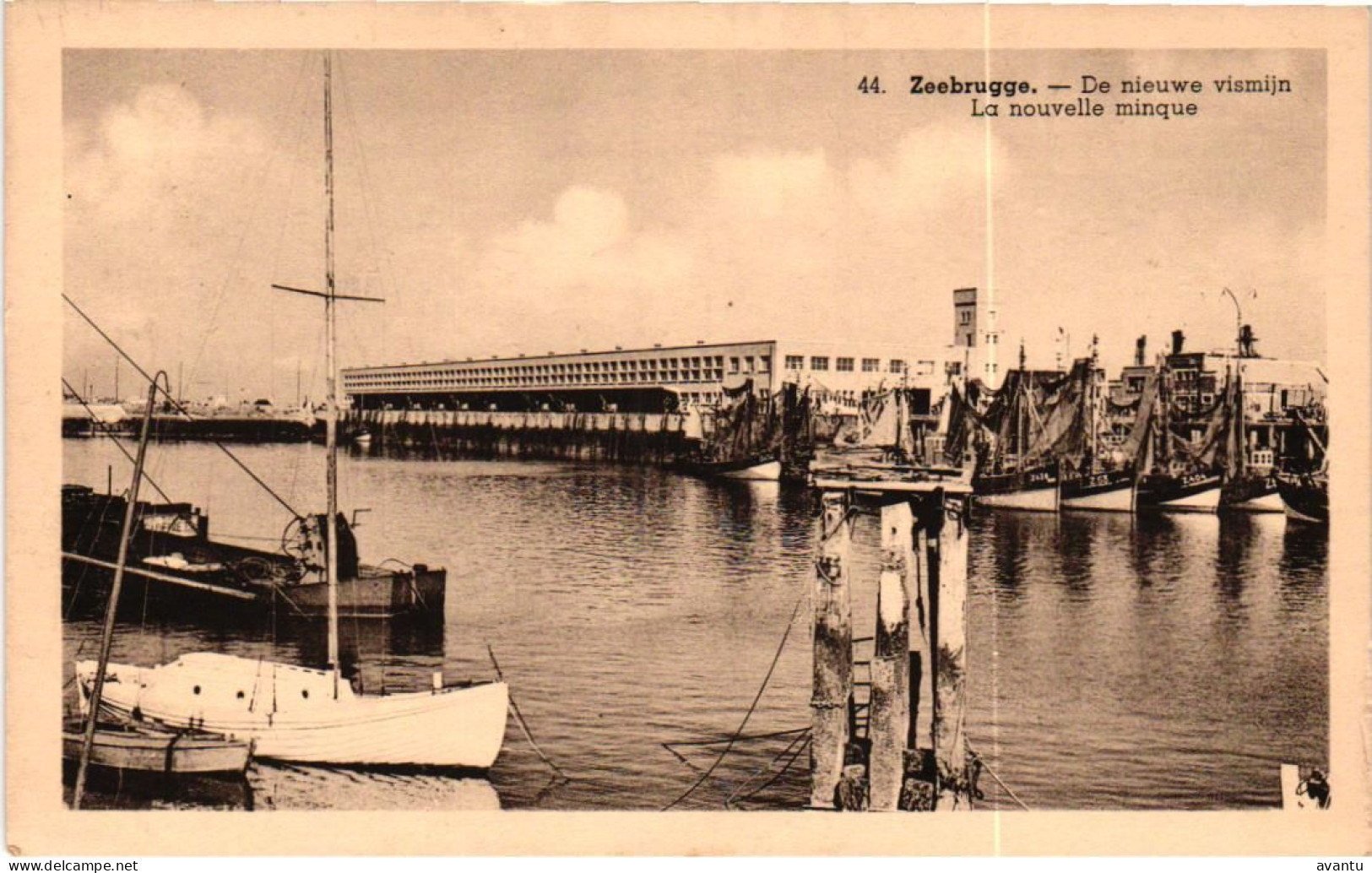 ZEEBRUGGE /  VISMIJN - Zeebrugge
