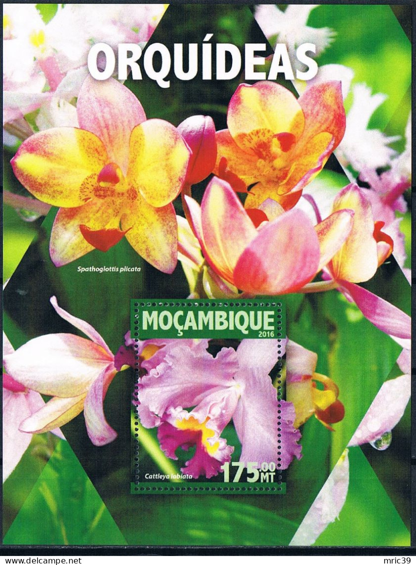 Bloc Sheet  Fleurs Orchidées Flowers Orchids  Neuf  MNH **   Mozambique Mocambique 2016 - Orquideas