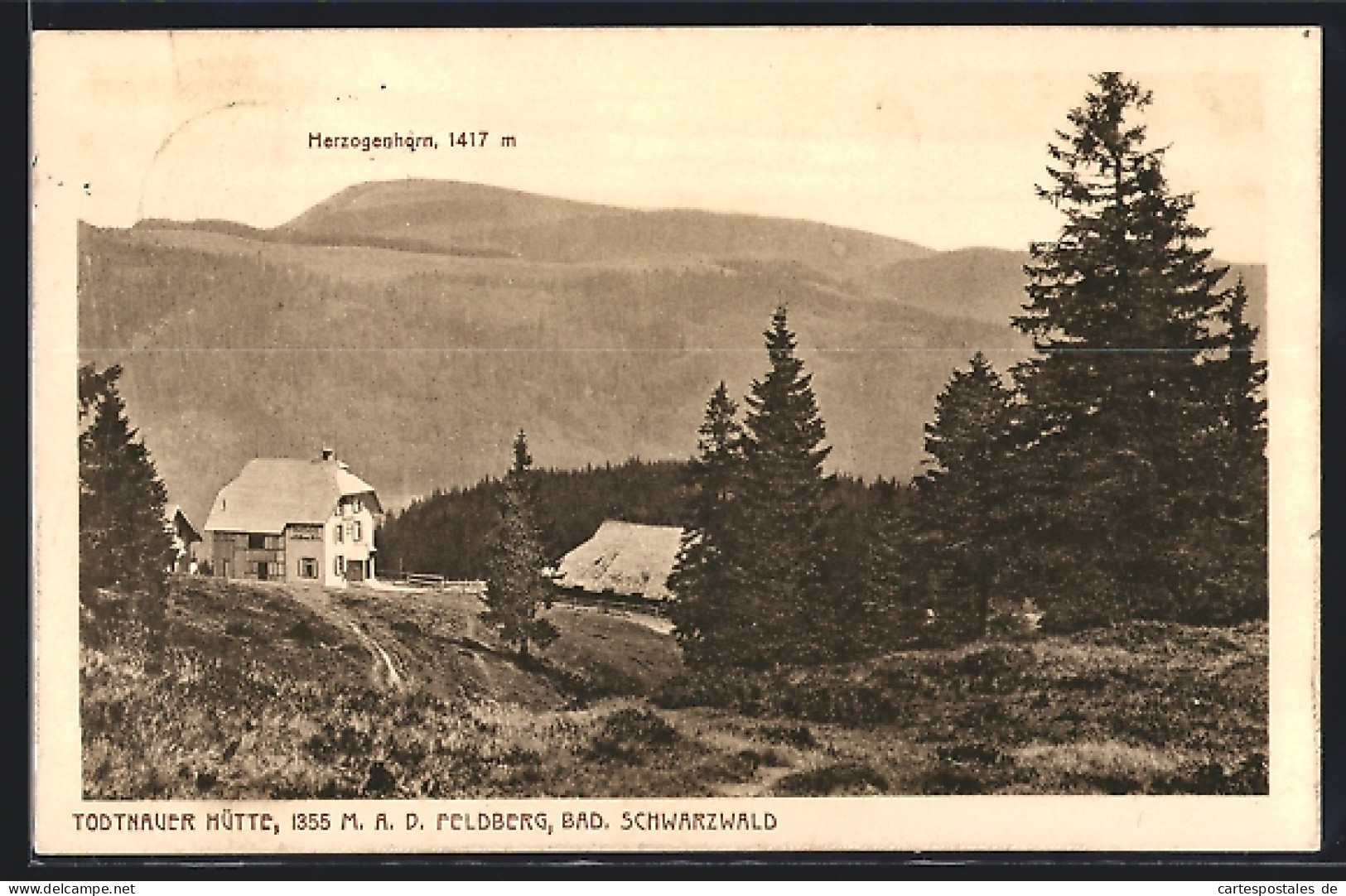 AK Feldberg /Bad. Schwarzwald, Todtnauer Hütte Mit Herzogenhorn  - Todtnau