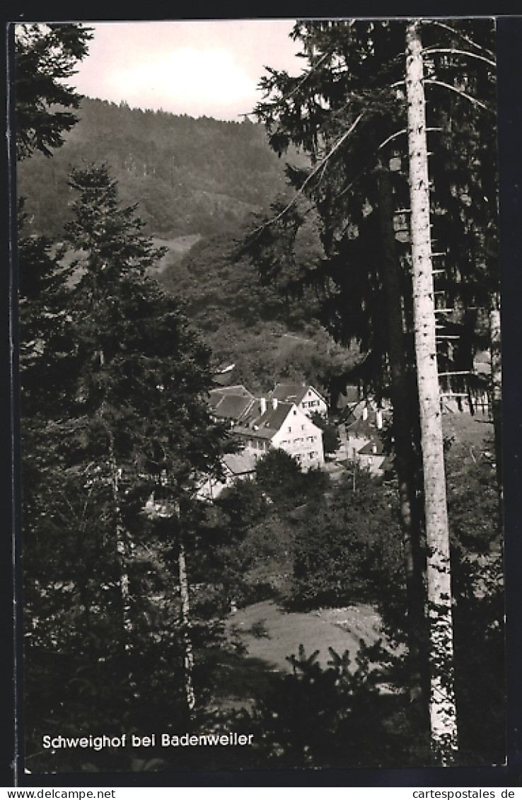 AK Schweighof Bei Badenweiler, Blick Durch Die Bäume  - Badenweiler