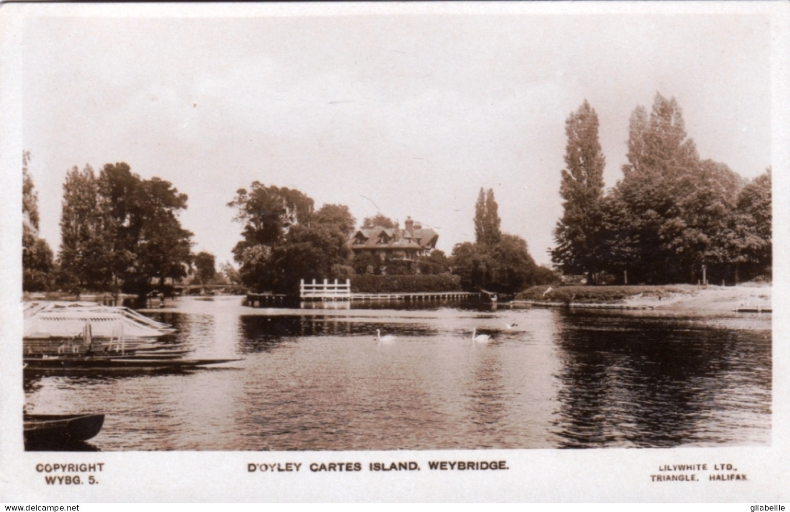Surrey - WEYBRIDGE - D'Oyley Cartes Island - Surrey