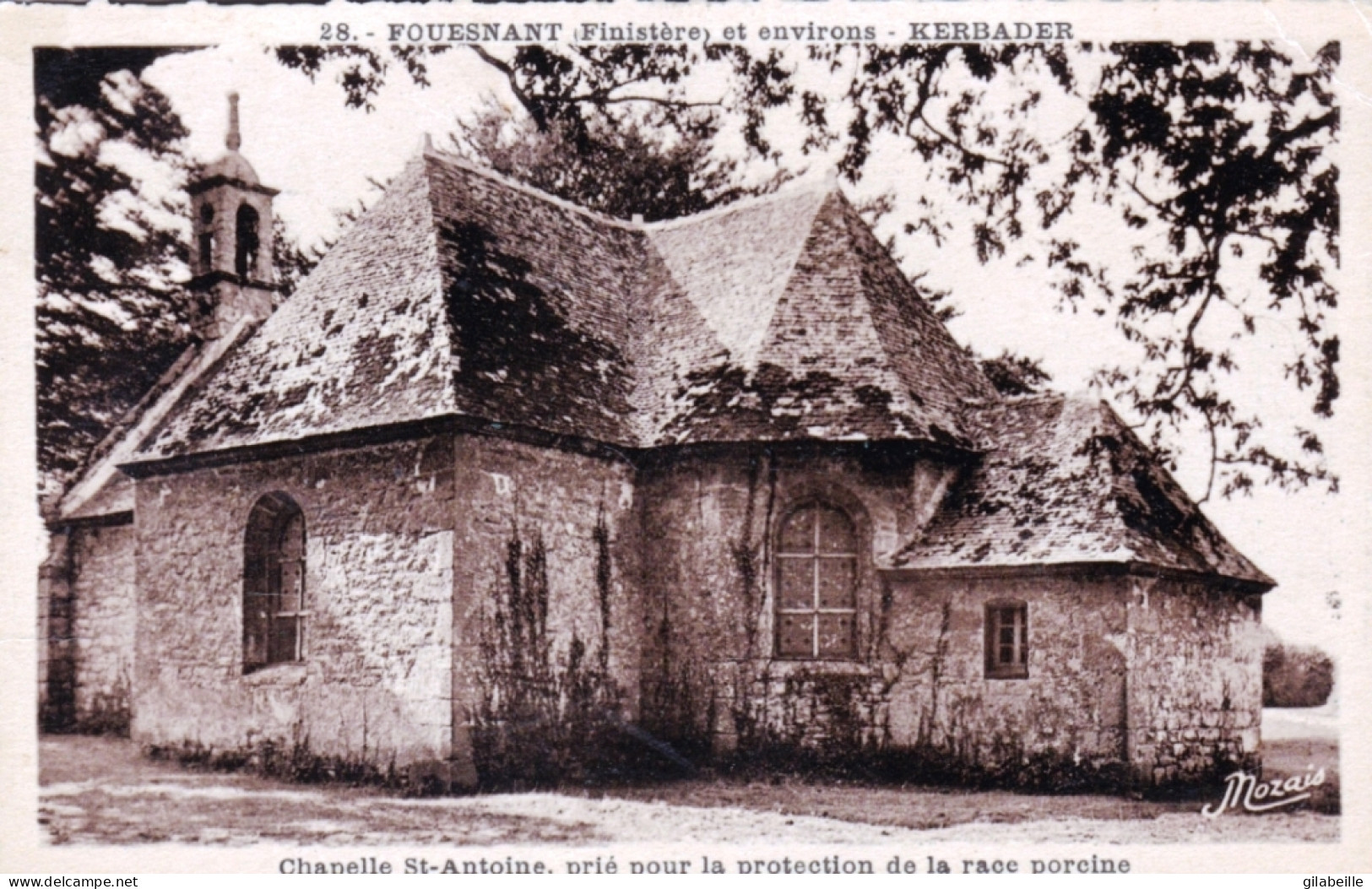 29 - Finistere -  FOUESNANT  Kerbader - Chapelle St Antoine Prié Pour La Protection De La Race Porcine - Fouesnant