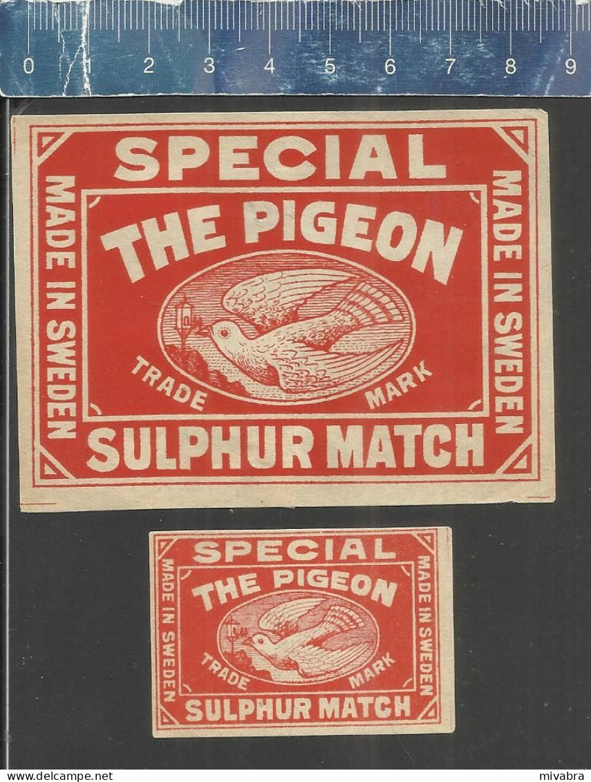 THE PIGEON SPECIAL SULPHUR MATCH (PIGEONS - TAUBEN - DUIVEN PALOMA ) OLD  EXPORT MATCHBOX LABELS MADE IN SWEDEN - Boites D'allumettes - Etiquettes
