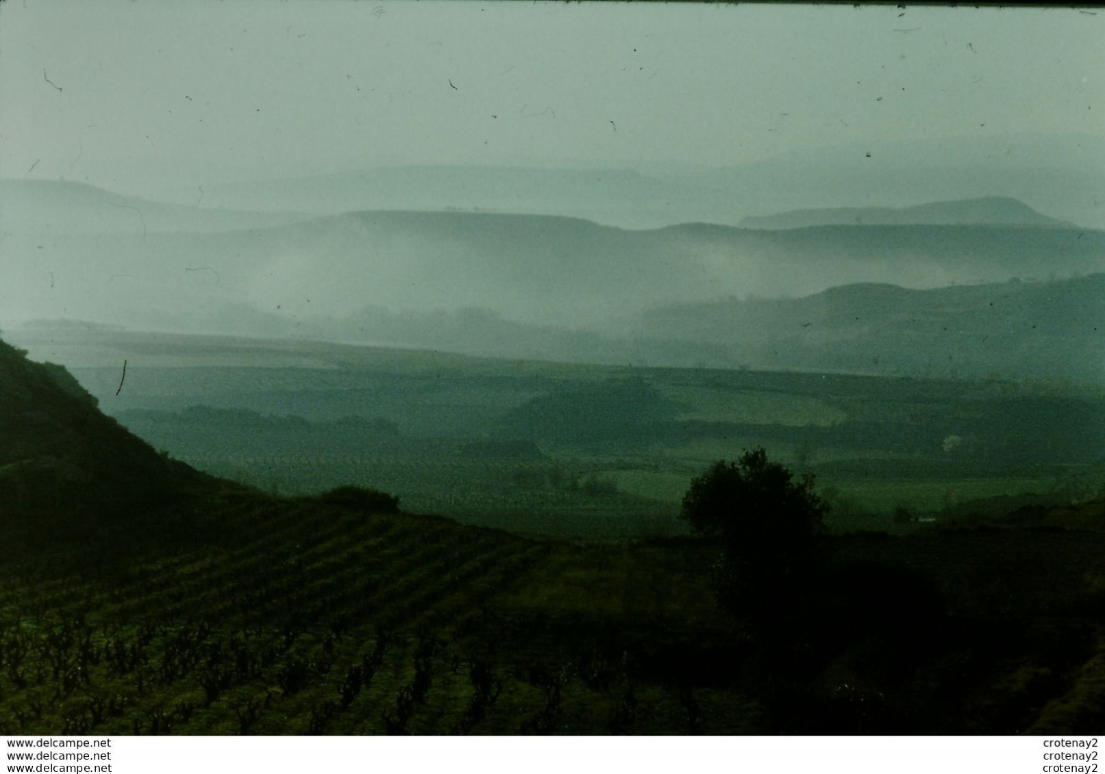 Photo Diapo Diapositive Slide Espagne Portugal N°4 Vignoble De Qualité LE RIOJA VOIR ZOOM - Diapositives (slides)