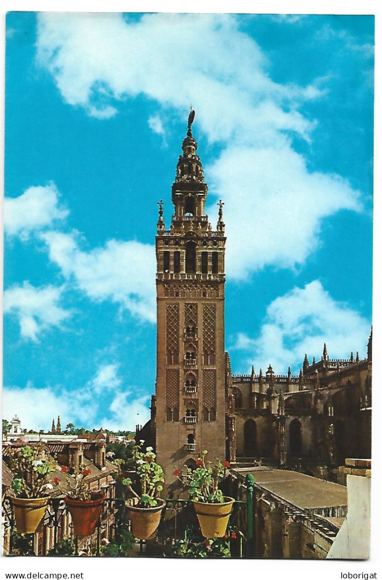 LA GIRALDA / GIRALDA TOWER.- SEVILLA - ( ANDALUCIA ) - Sevilla