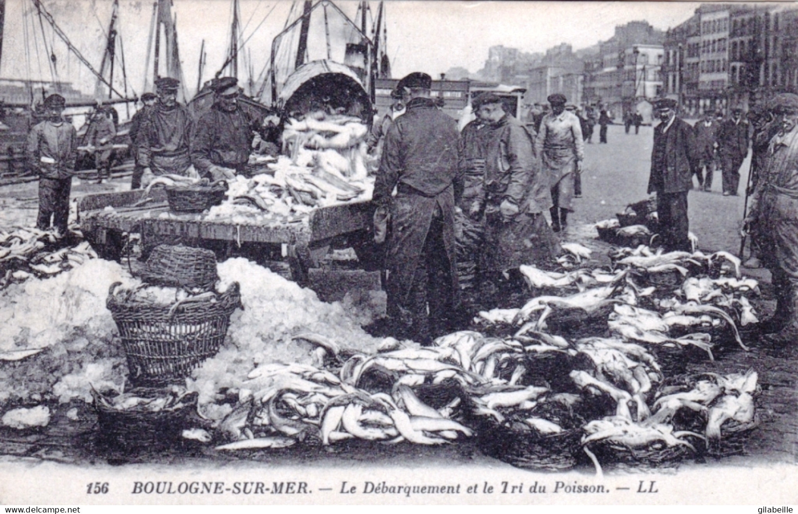 62 -  BOULOGNE Sur MER  - Le Debarquement Et Le Tri Du Poisson  - Boulogne Sur Mer