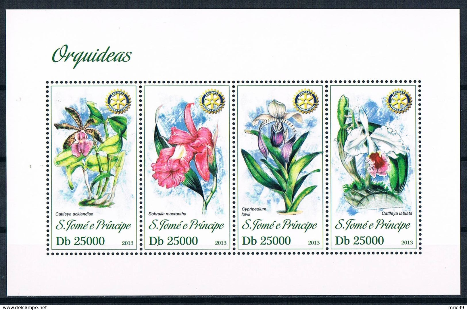 Bloc Sheet  Fleurs Orchidées Flowers Orchids  Neuf  MNH **   S Tome E Principe 2013 - Orchideen