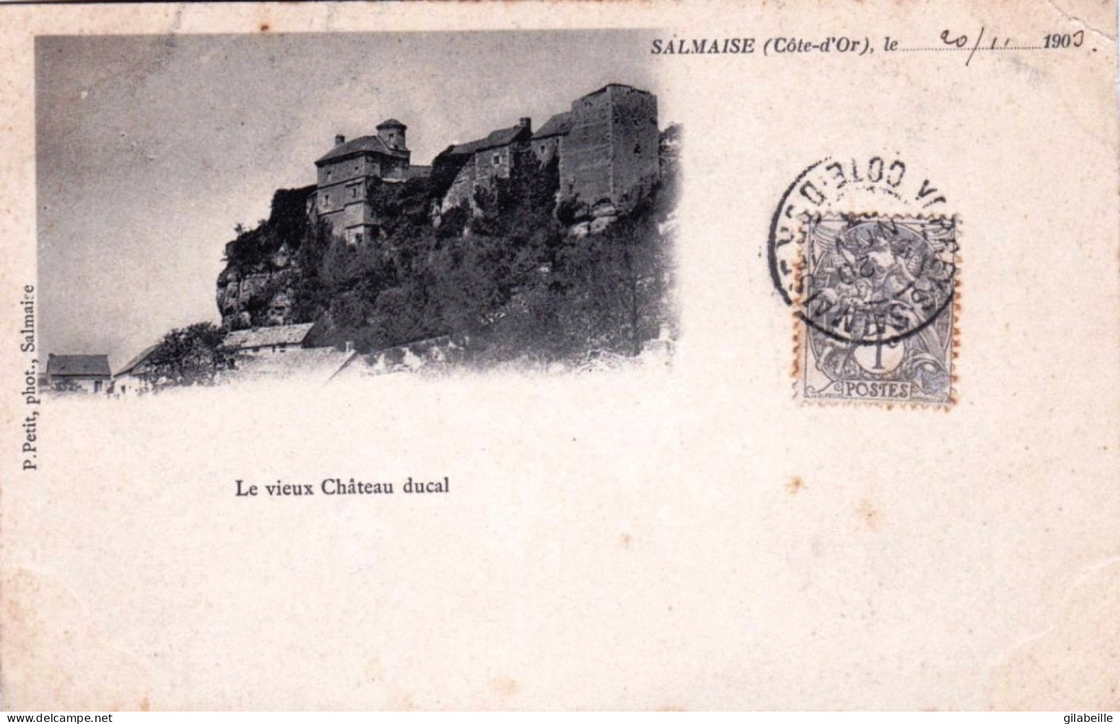 21 - Cote D'or -  SALMAISE - Le Vieux Chateau Ducal - Other & Unclassified