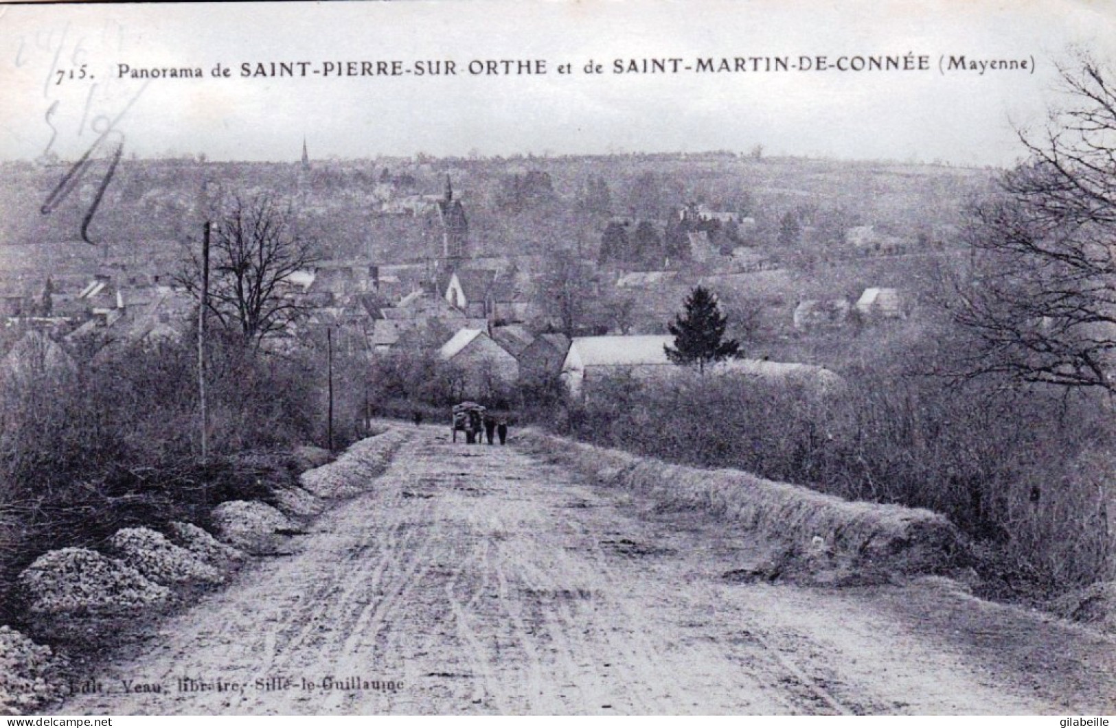 53 - Mayenne -  Panorama De SAINT PIERRE Sur ORTHE Et De SAINT MARTIN De CONNEE - Sonstige & Ohne Zuordnung