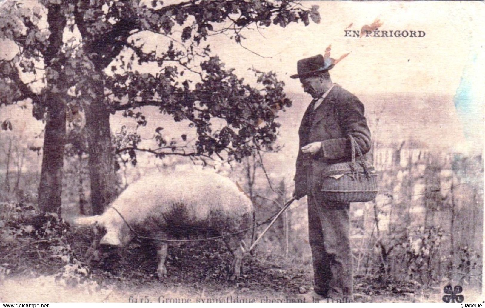 24 - En PERIGORD (Dordogne) - Groupe Sympathique Cherchant La Truffe - Cochon  - Sonstige & Ohne Zuordnung