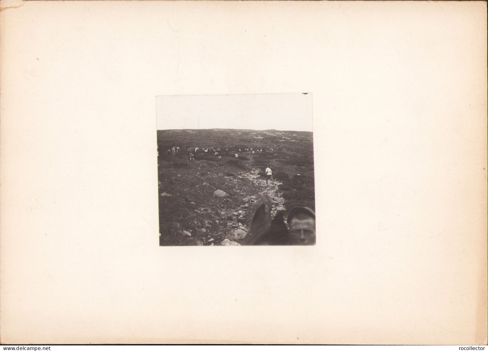 Excursioniștii De Sub Conducerea Dlui Emm De Martonne Urcând Bihorul, Fotografie De Emmanuel De Martonne, 1921 - Orte