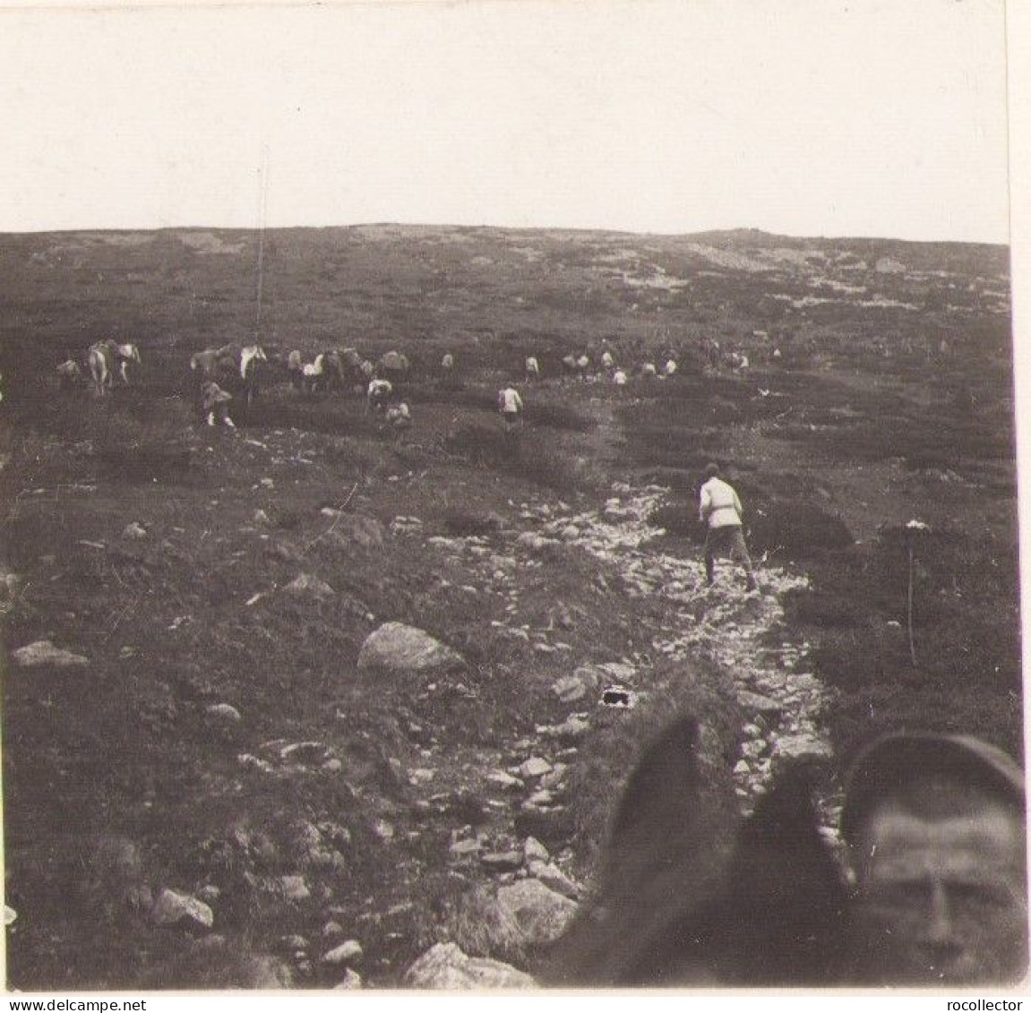 Excursioniștii De Sub Conducerea Dlui Emm De Martonne Urcând Bihorul, Fotografie De Emmanuel De Martonne, 1921 - Orte