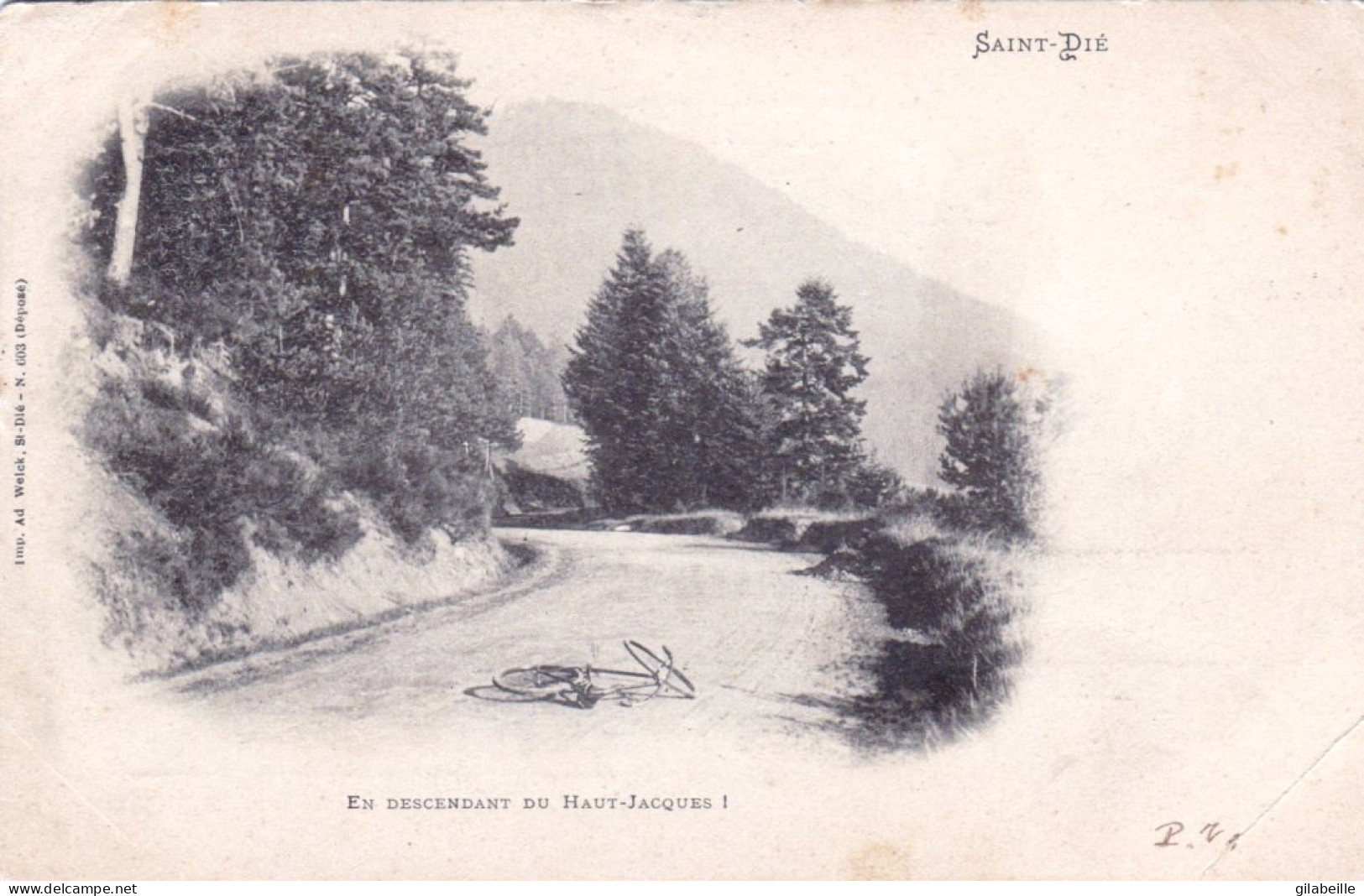 88 -  SAINT DIE - En Descendant Du Haut Jacques - Saint Die